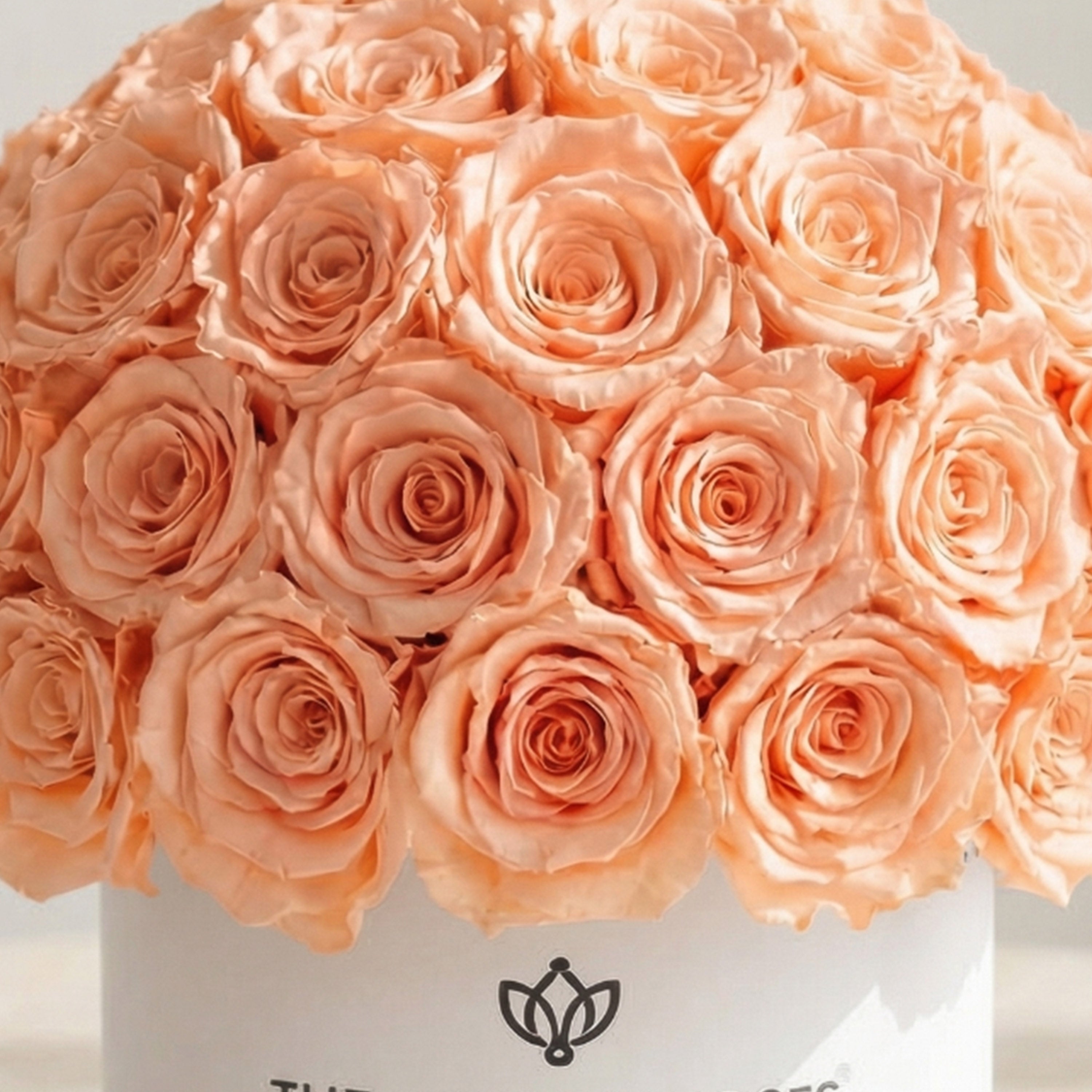 Classic White Superdome Box | Peach Roses