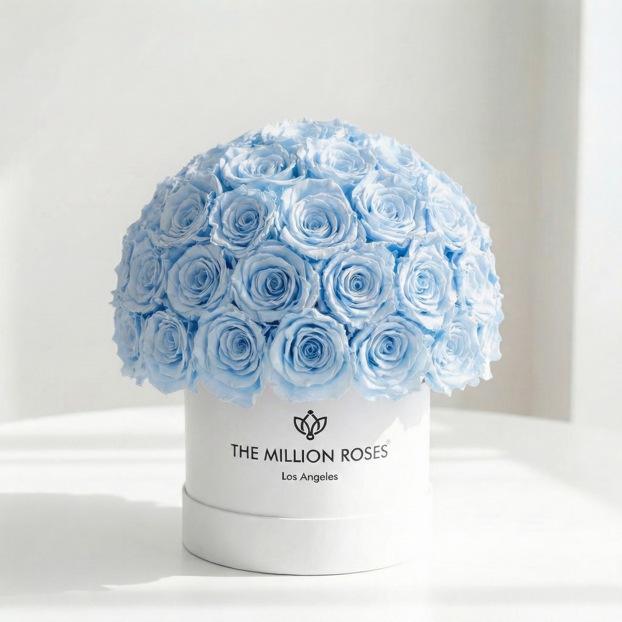 Classic White Superdome Box | Light Blue Roses