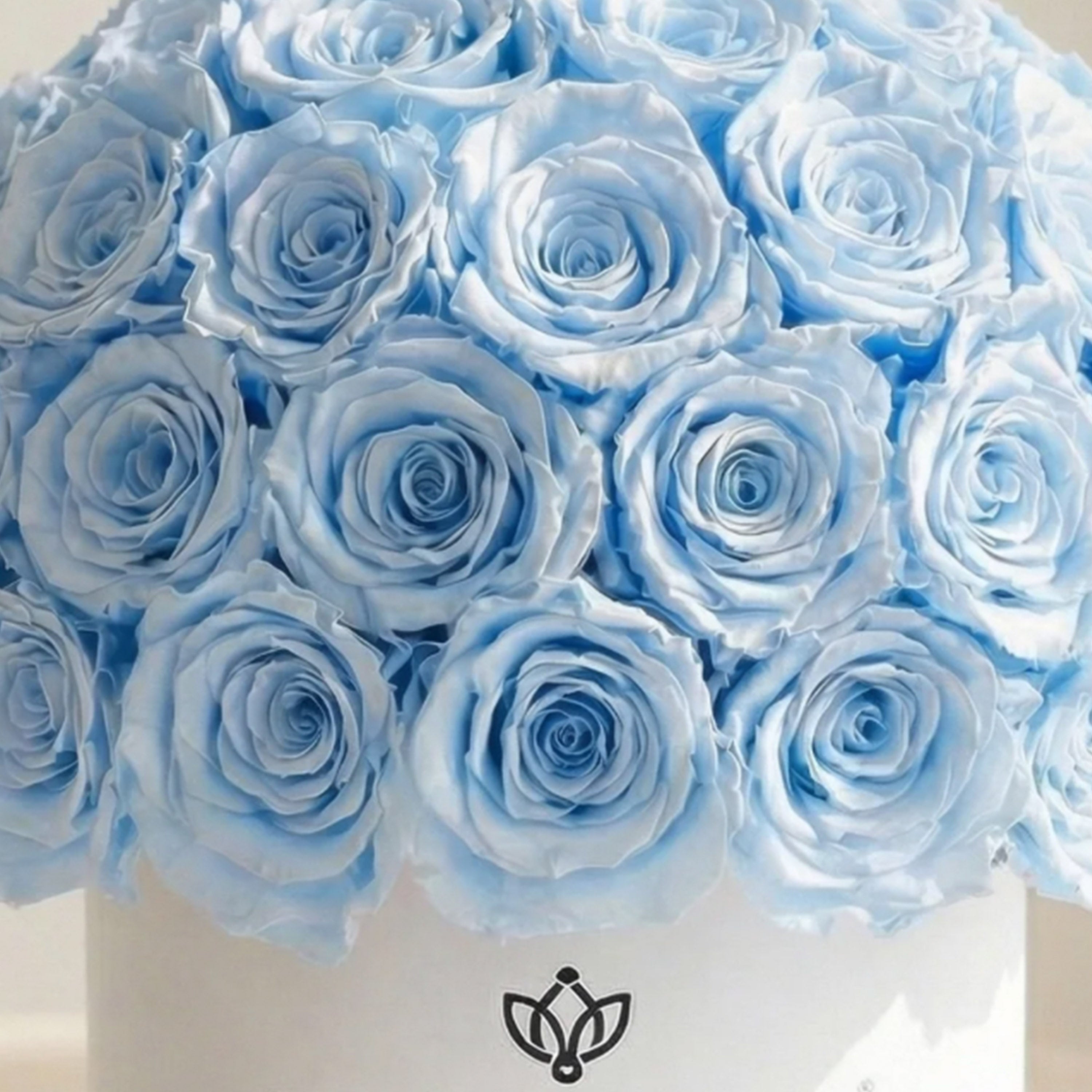 Classic White Superdome Box | Light Blue Roses