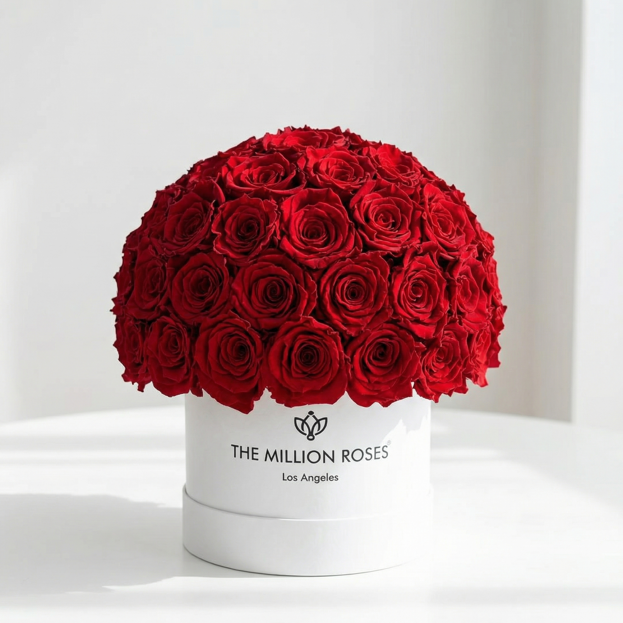 Classic White Superdome Box | Red Roses
