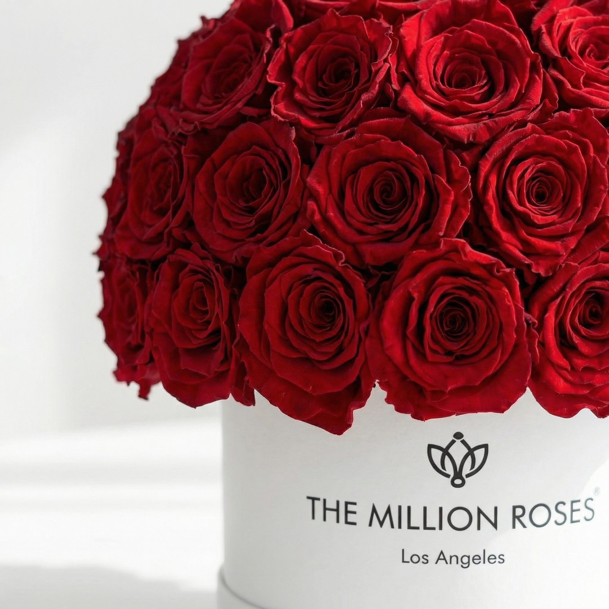 Classic White Superdome Box | Red Roses