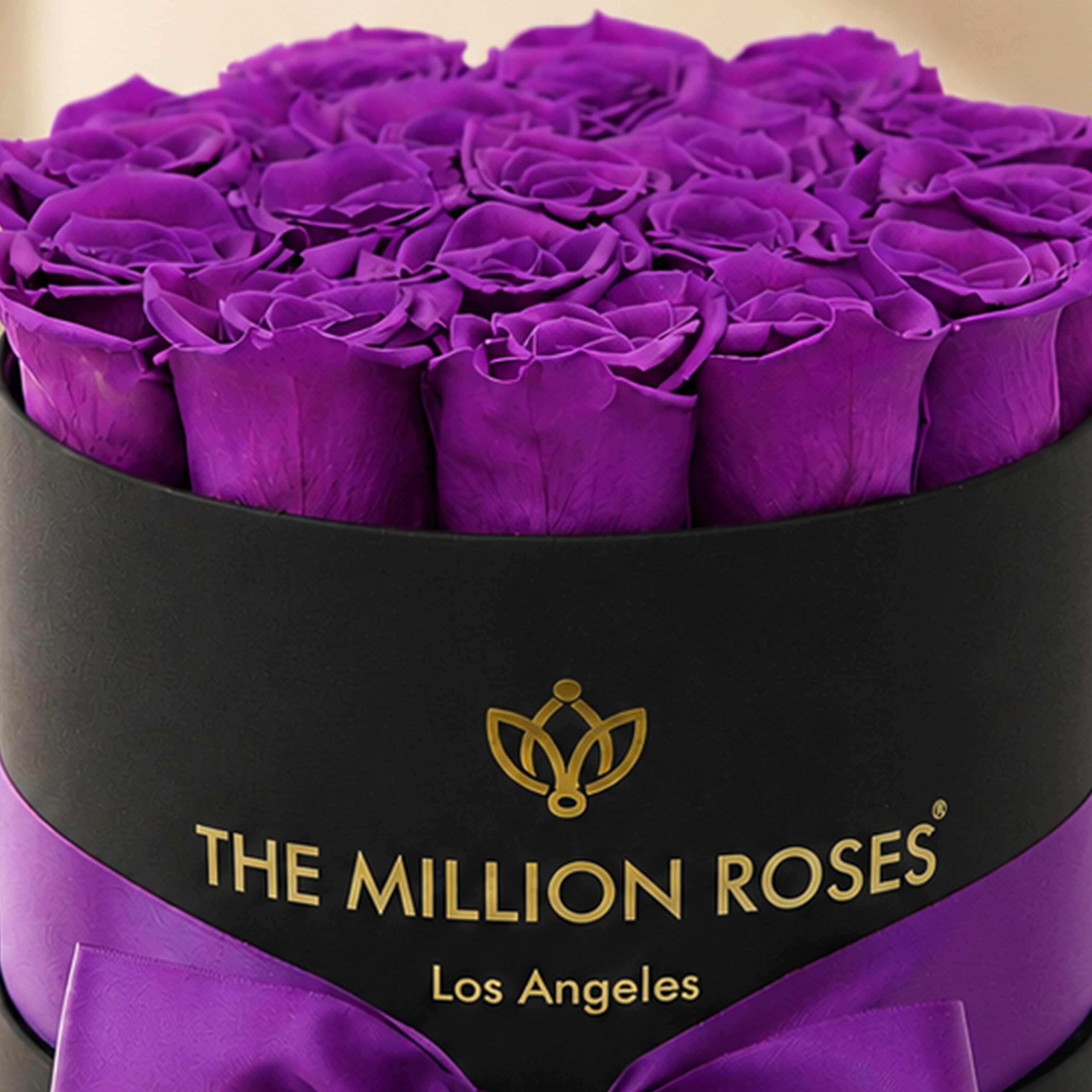 Classic Black Box | Bright Purple Roses