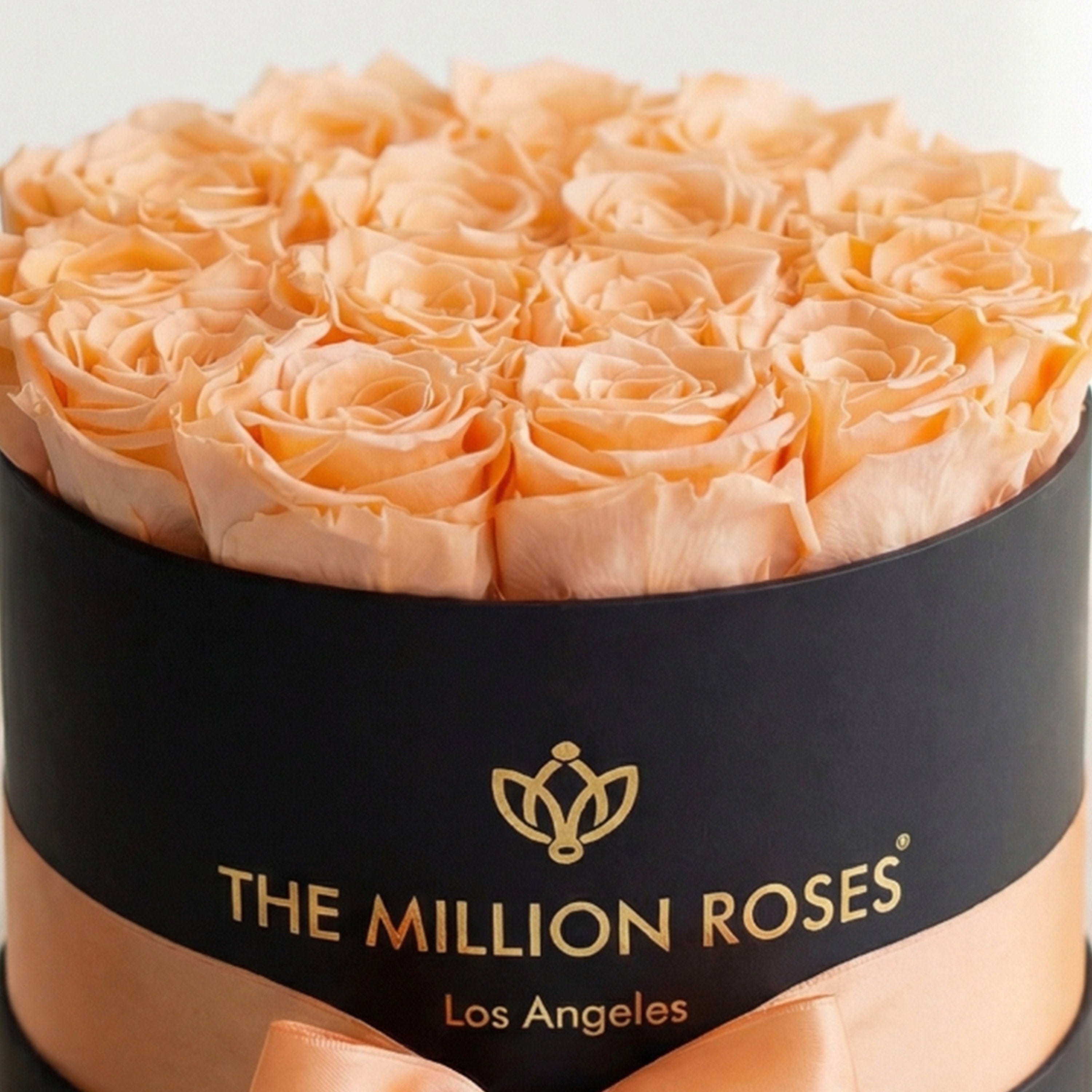 Classic Black Box | Peach Roses