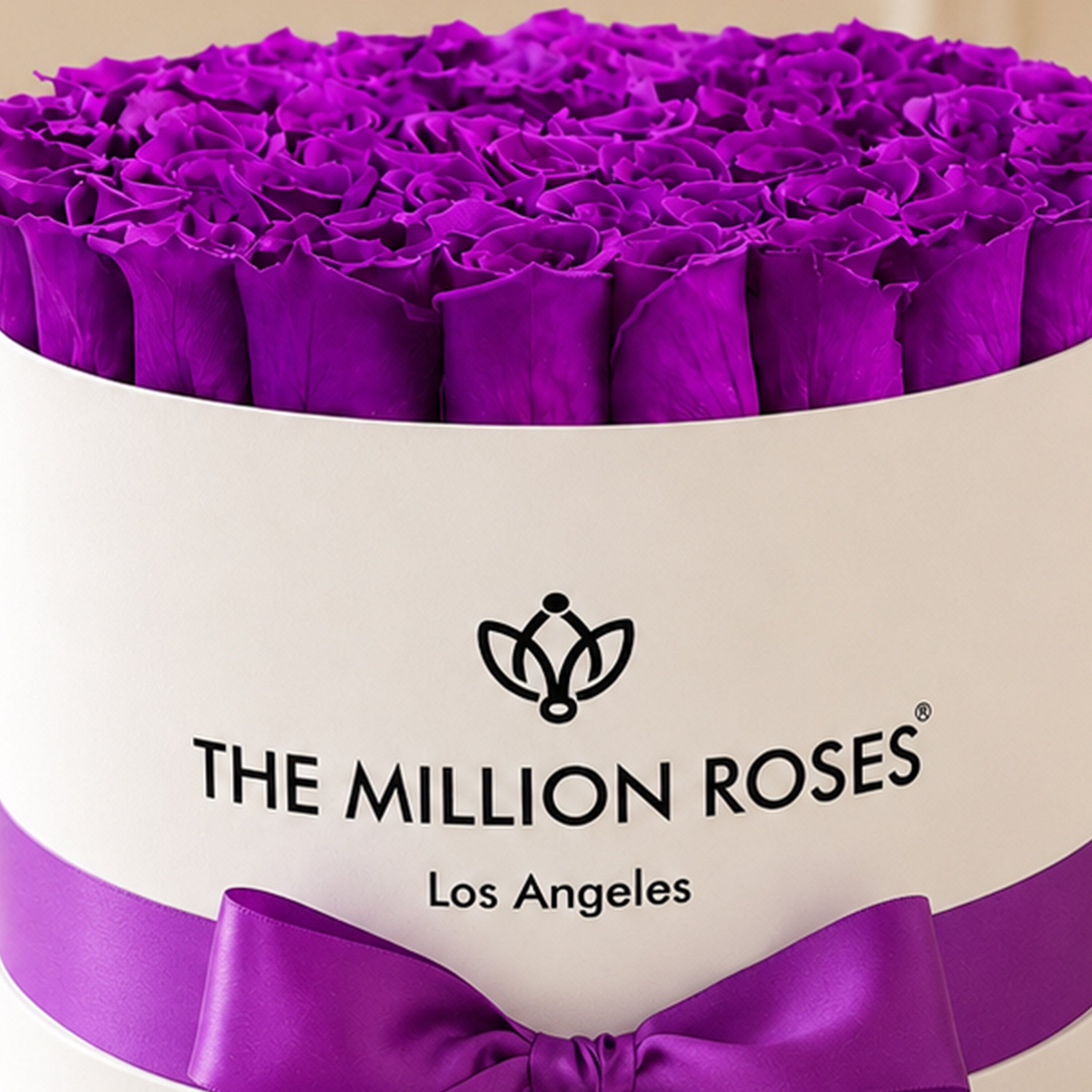 Supreme White Box | Bright Purple Roses