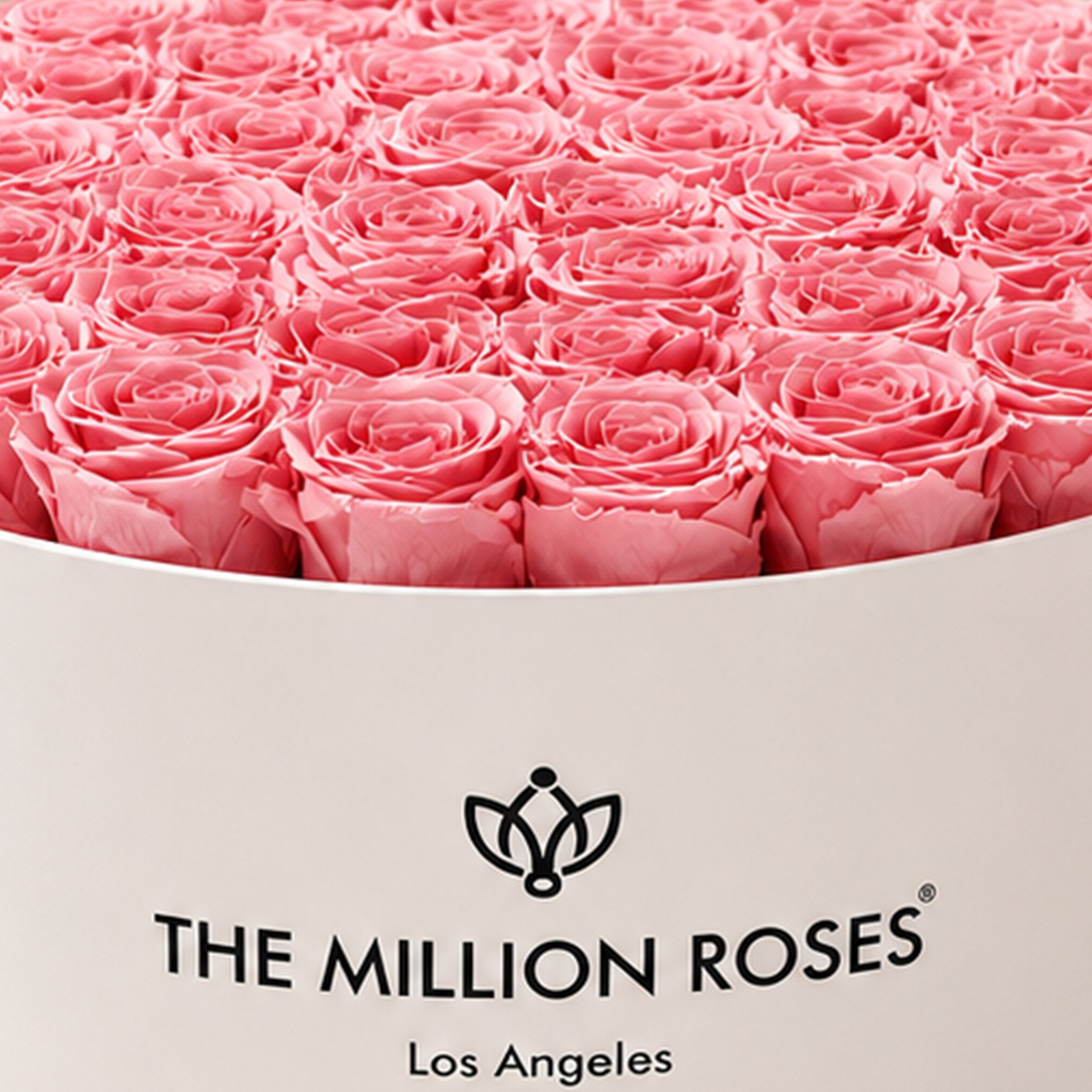 Deluxe White Box | Light Pink Roses
