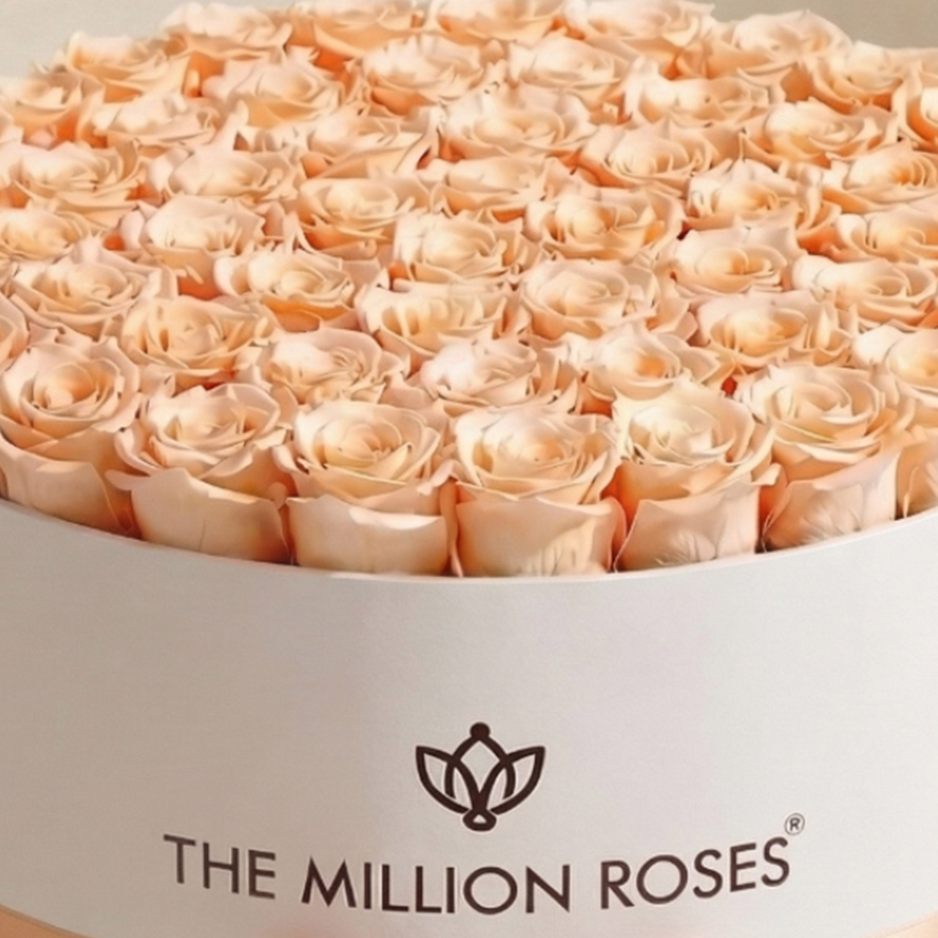 Deluxe White Box | Peach Roses