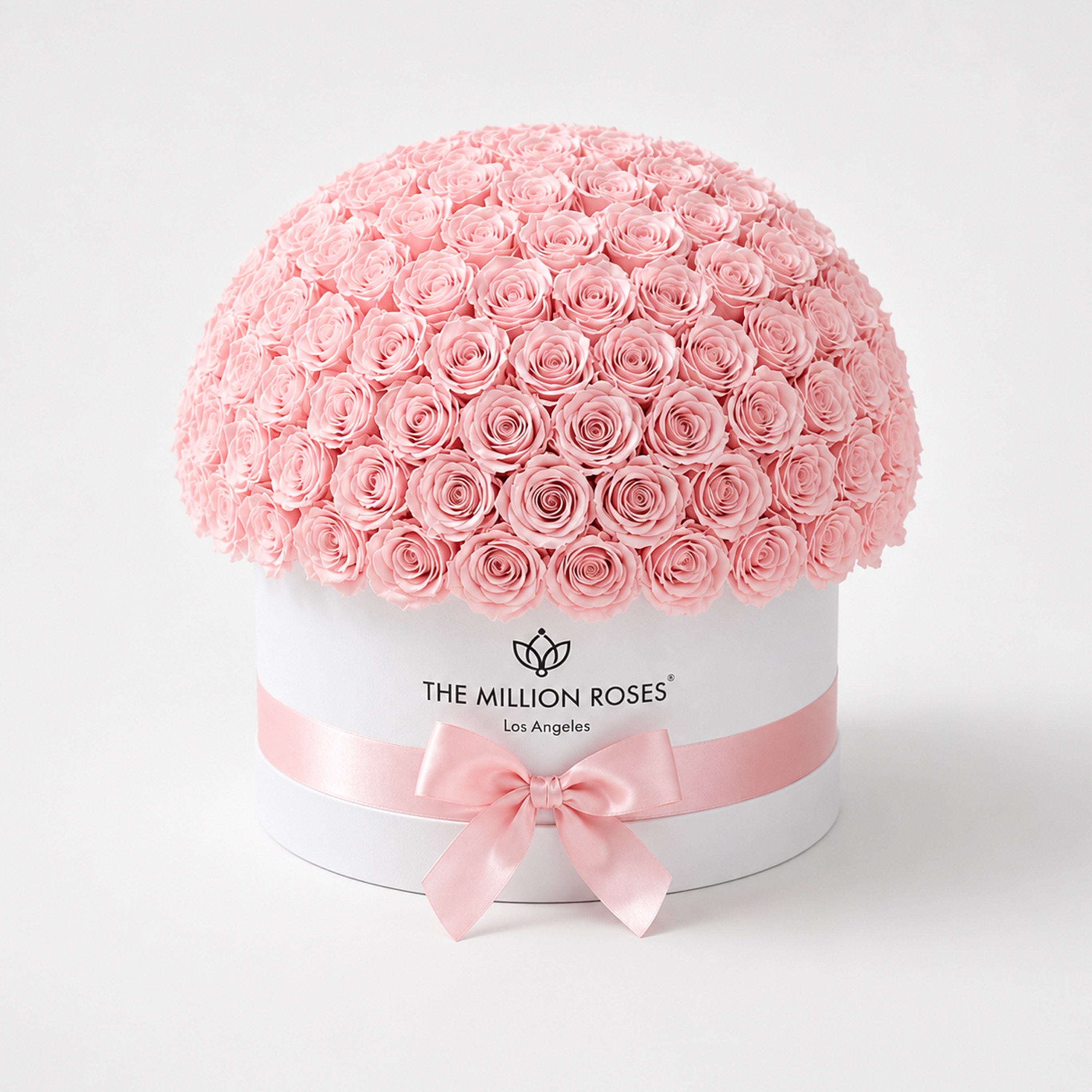 Deluxe White Dome Box | Light Pink Roses