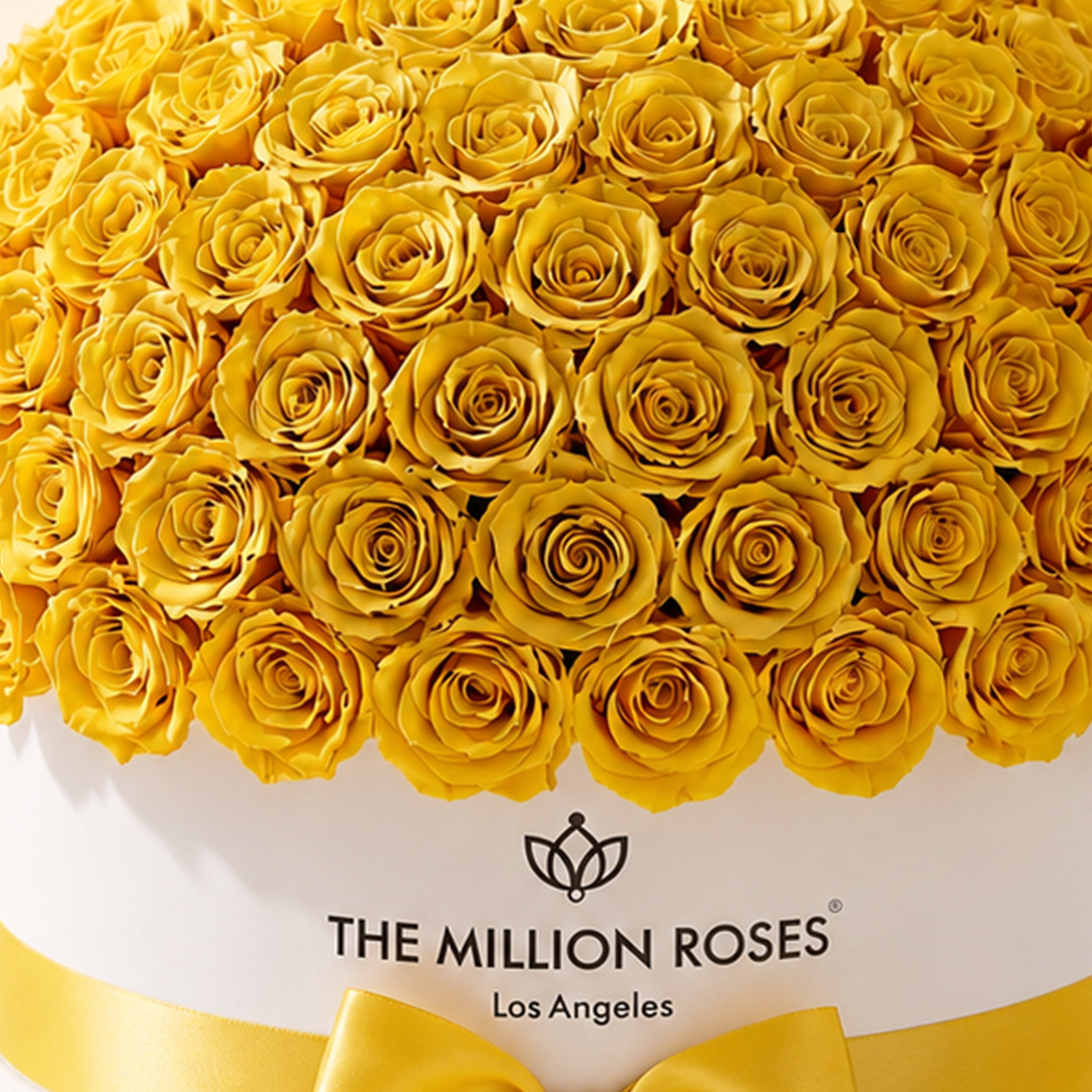 Deluxe White Dome Box | Yellow Roses