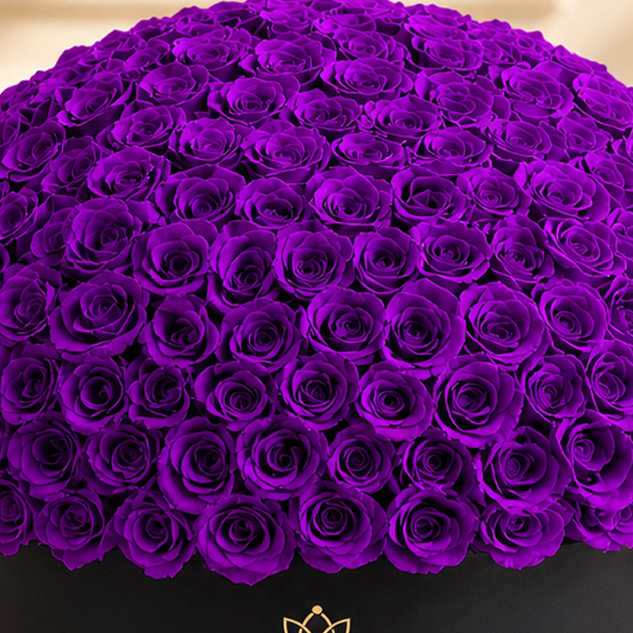 Deluxe Black Dome Box | Bright Purple Roses