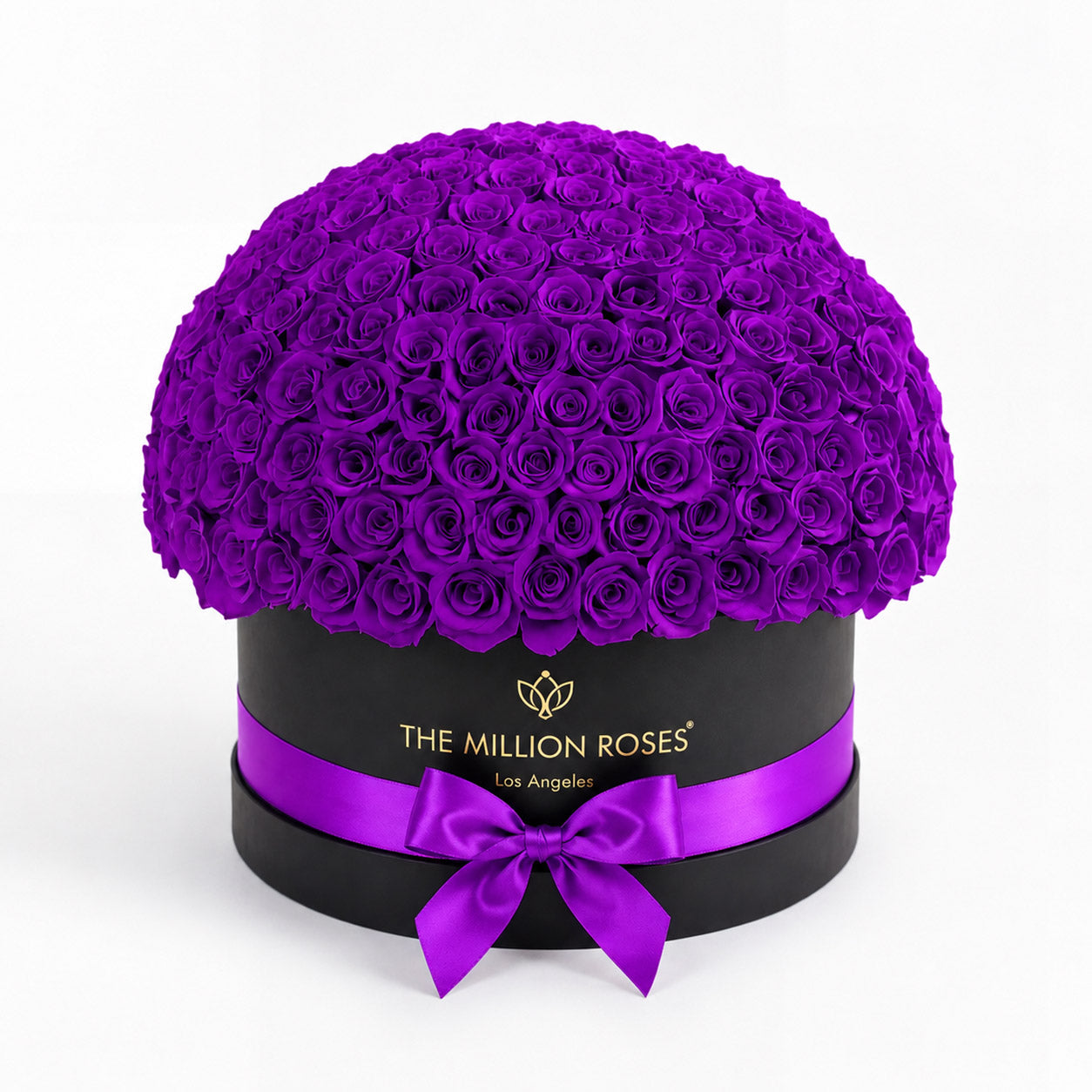 Deluxe Black Dome Box | Bright Purple Roses