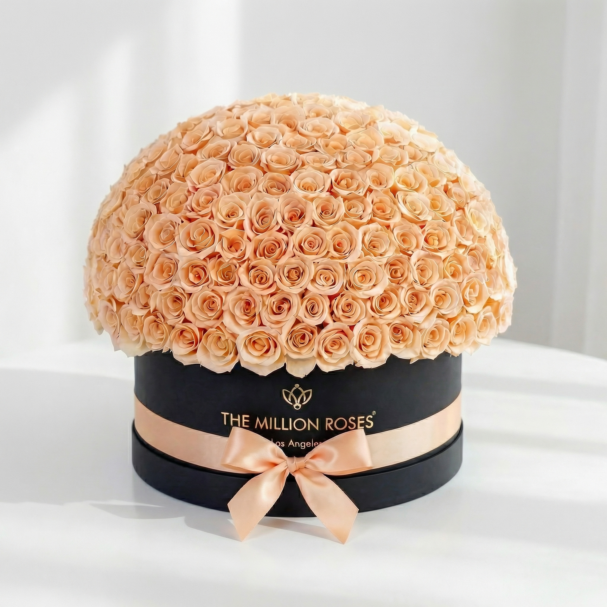 Deluxe Black Dome Box | Peach Roses