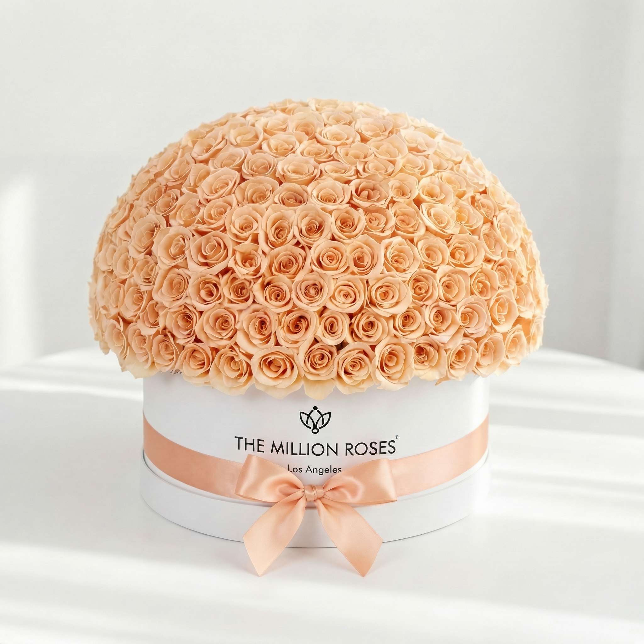 Deluxe White Dome Box | Peach Roses