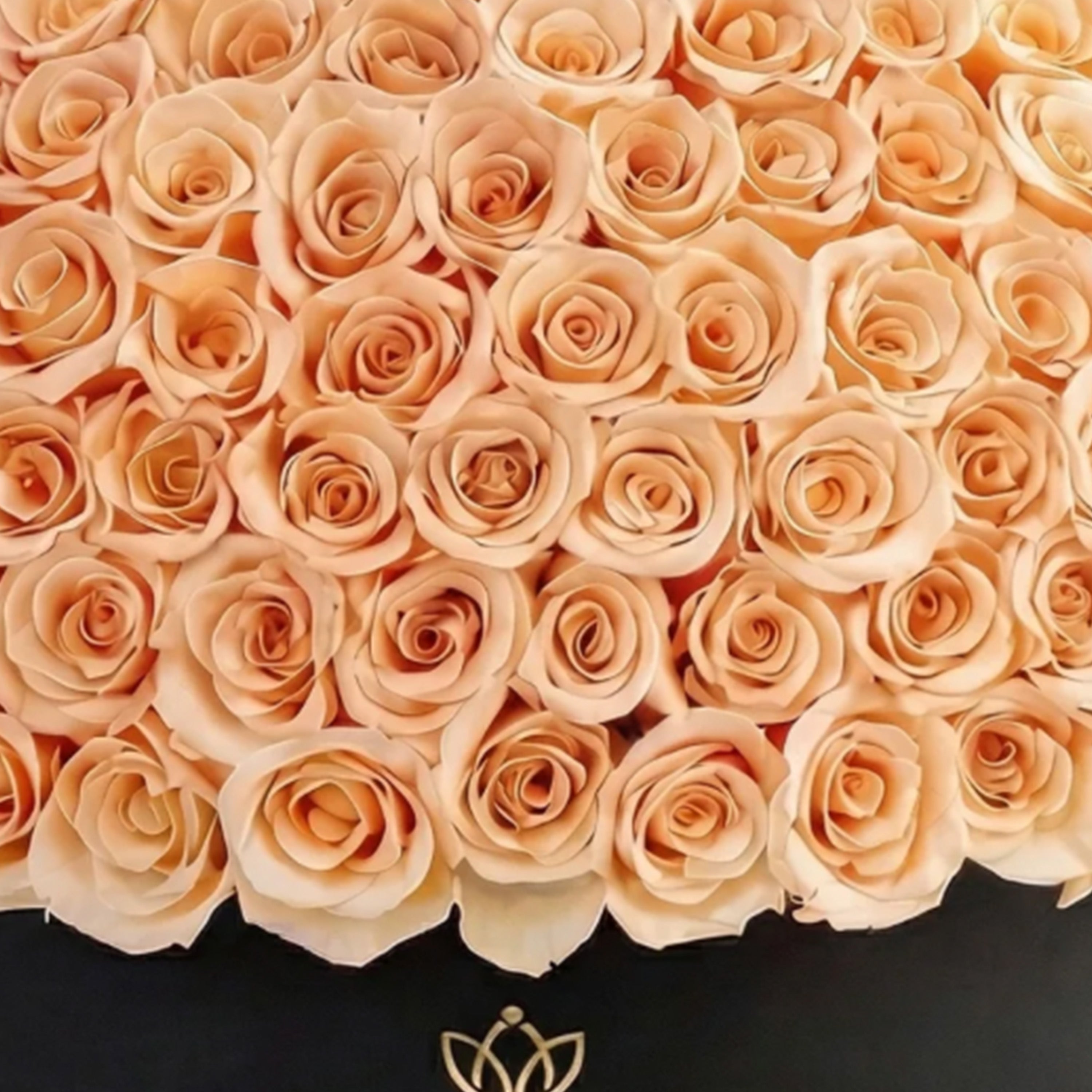 Deluxe Black Dome Box | Peach Roses