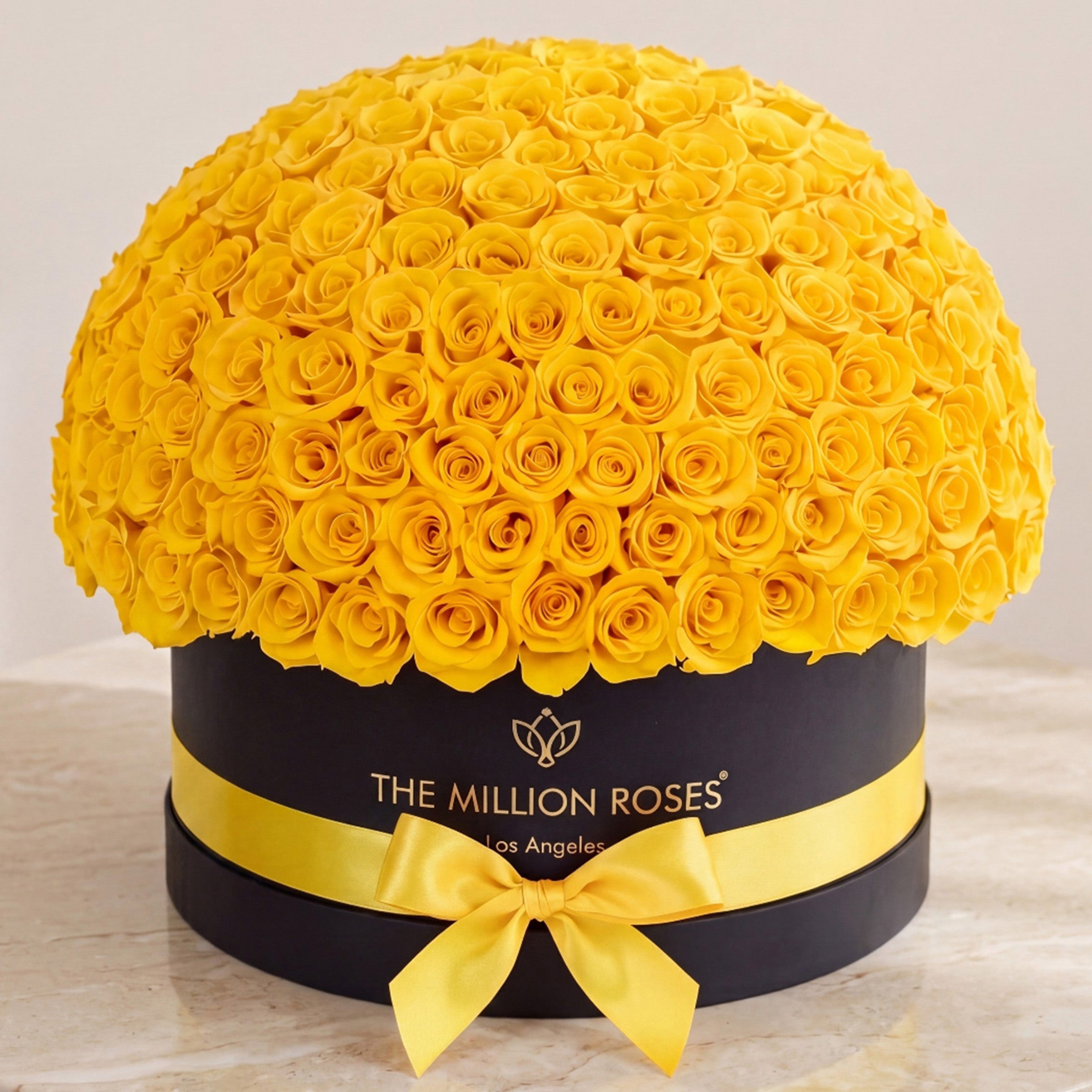 Deluxe Black Dome Box | Yellow Roses