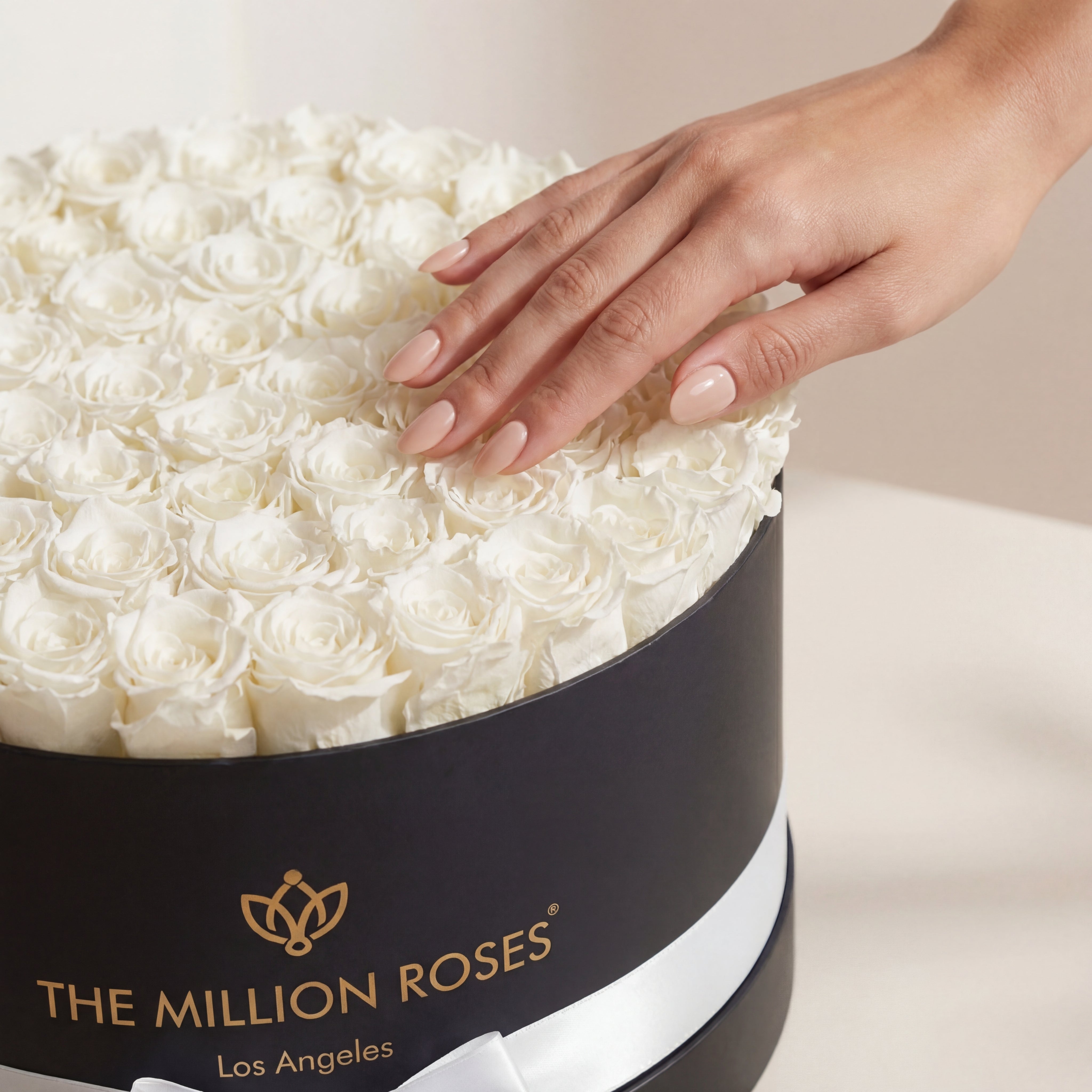 Deluxe Black Box | White Roses