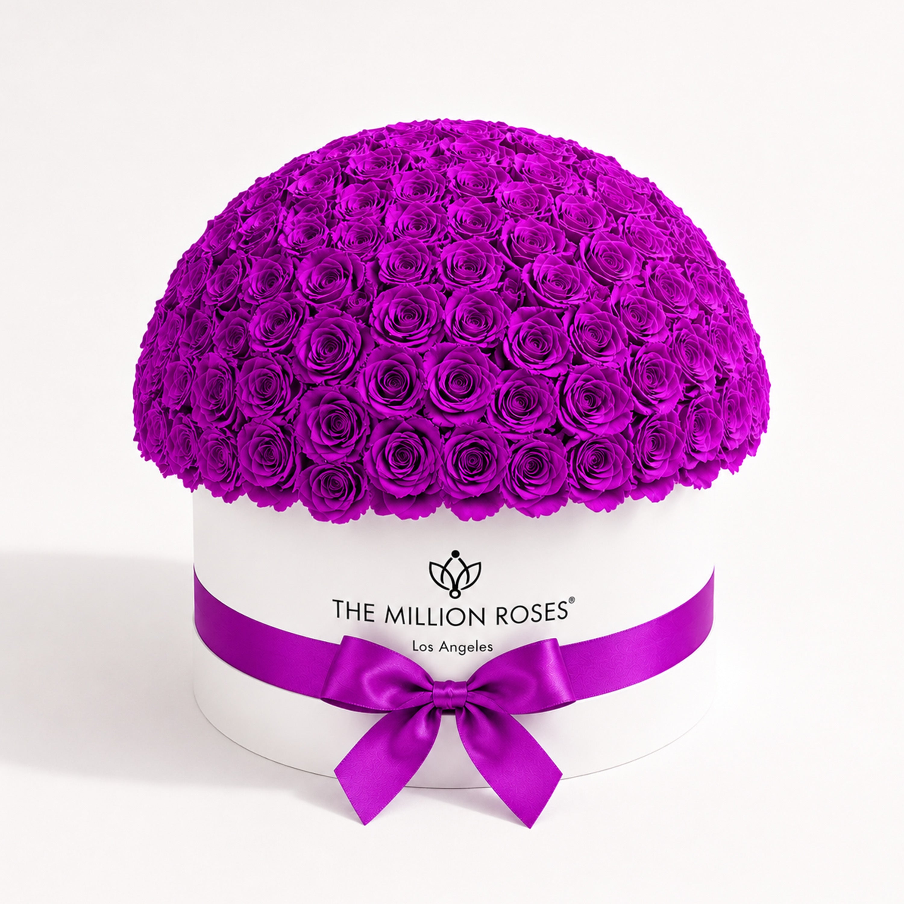 Deluxe White Dome Box | Bright Purple Roses