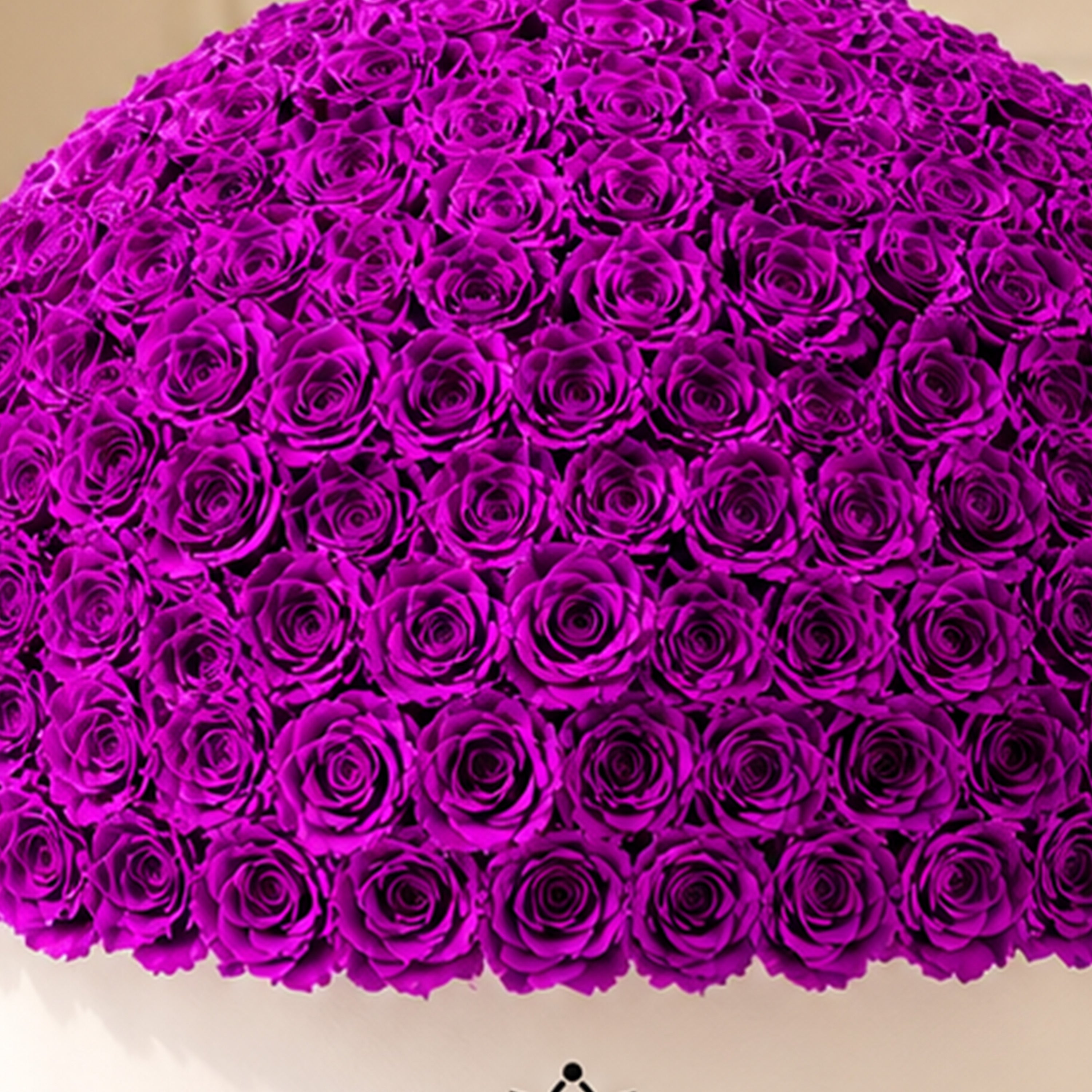 Deluxe White Dome Box | Bright Purple Roses