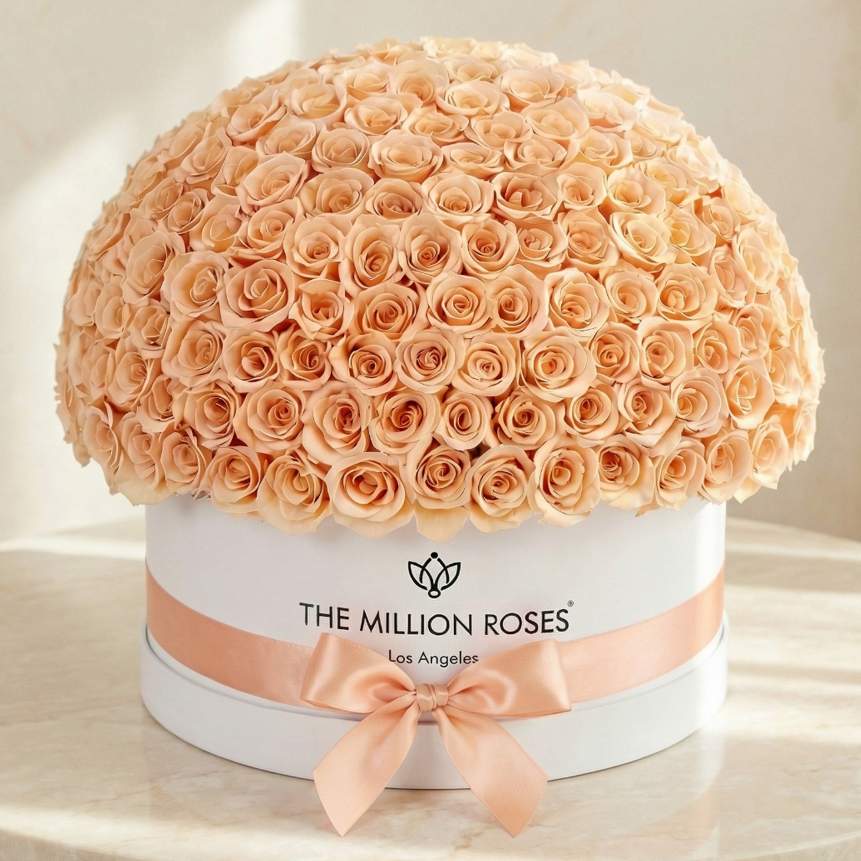 Deluxe White Dome Box | Peach Roses