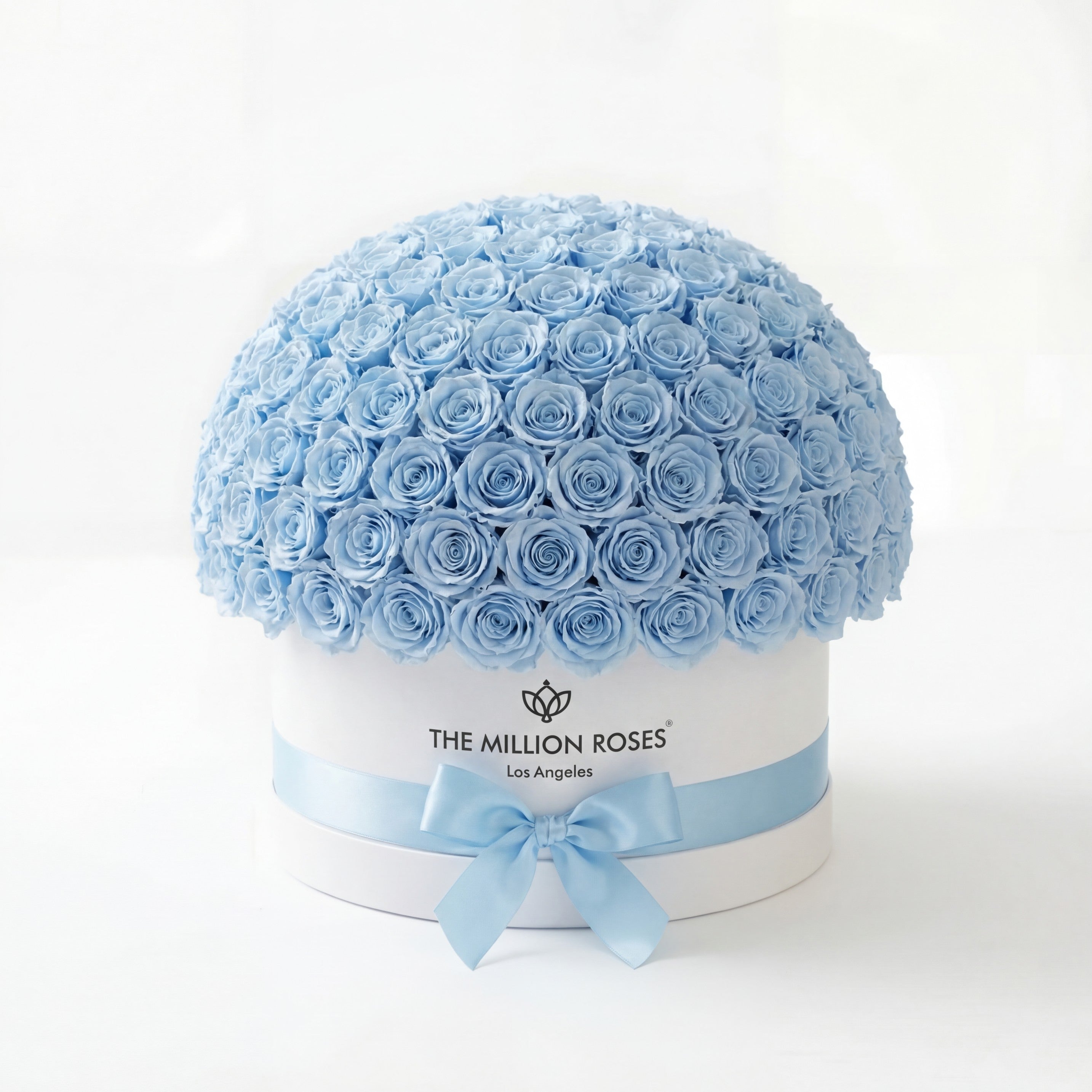 Deluxe White Dome Box | Light Blue Roses