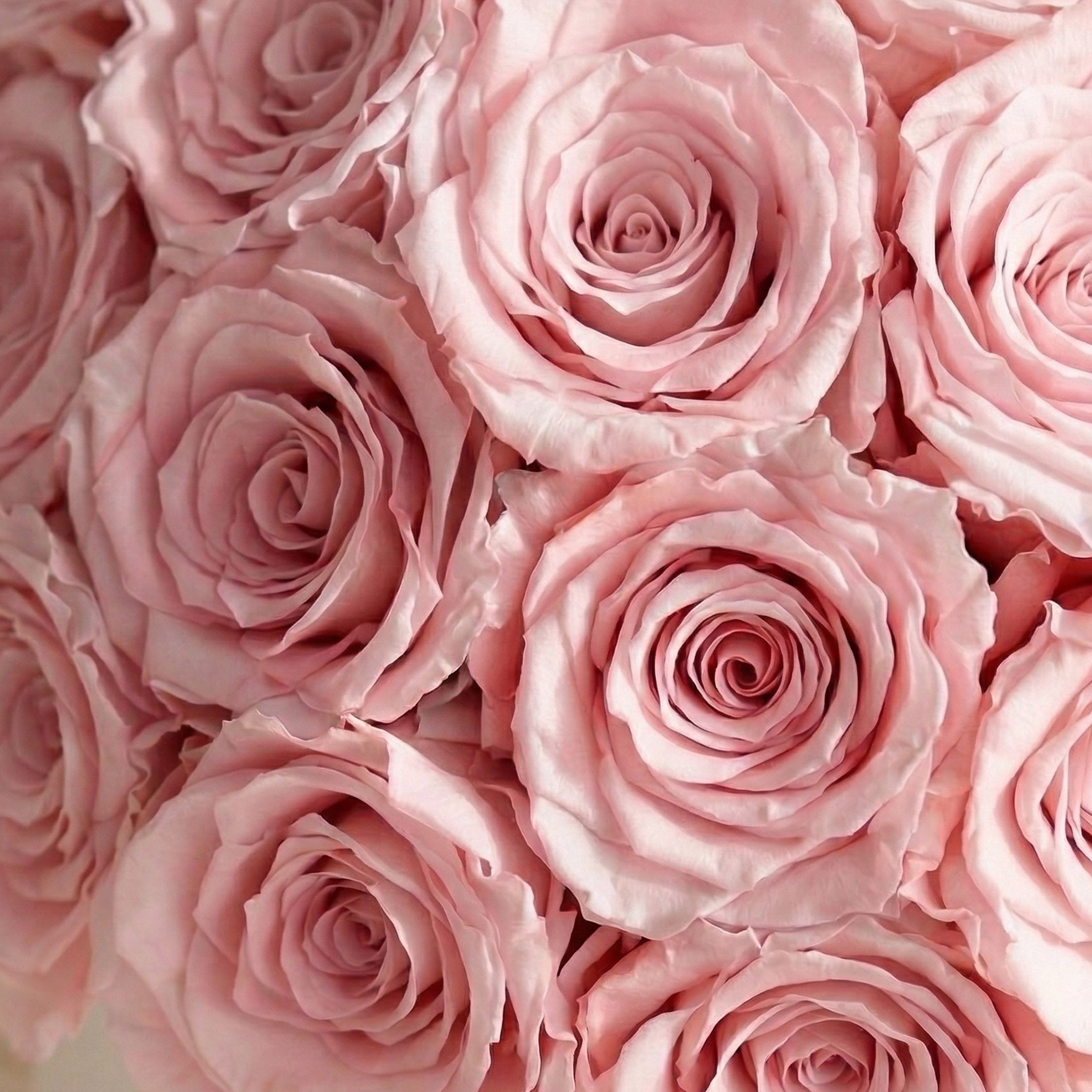 Deluxe White Dome Box | Light Pink Roses