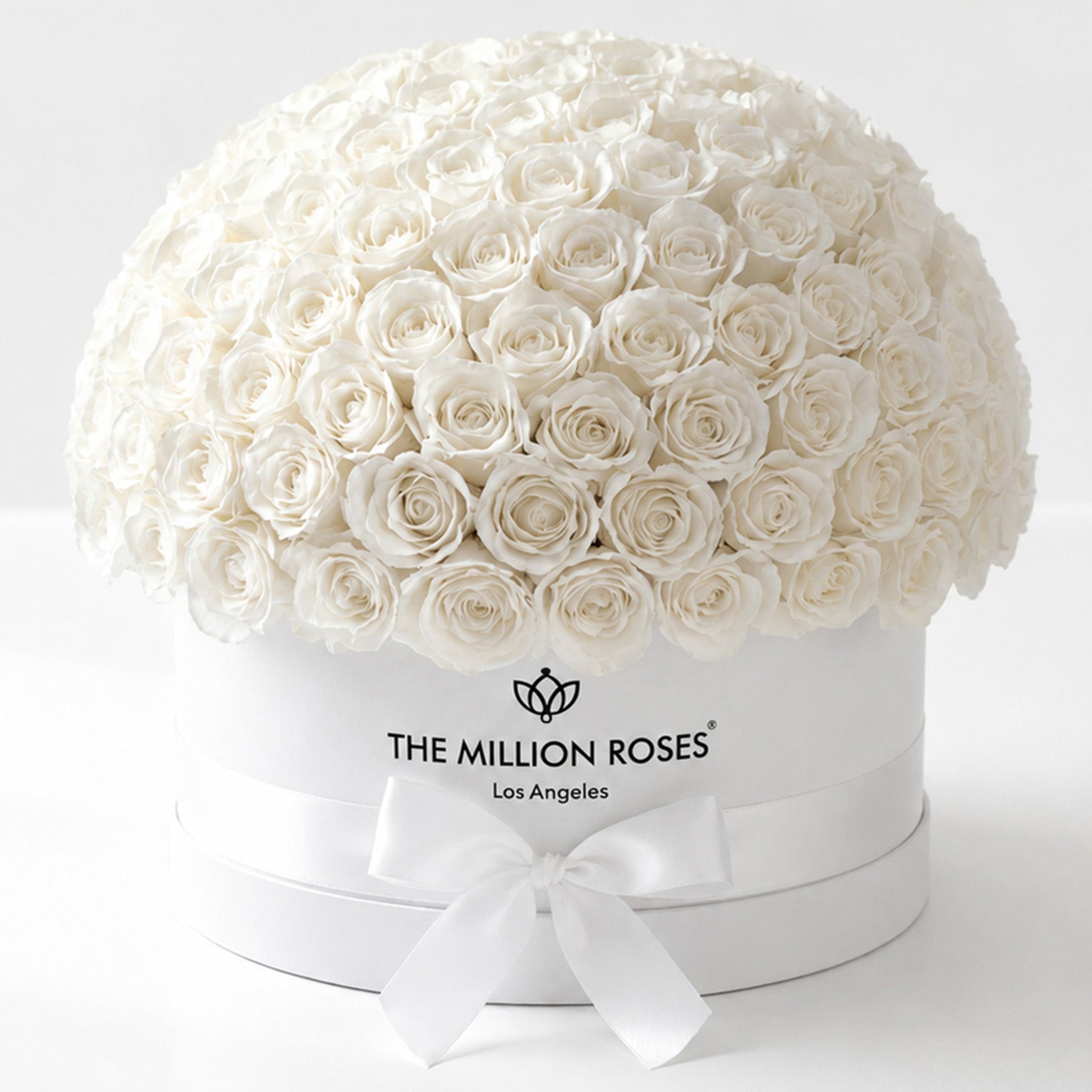 Deluxe White Dome Box | White Roses