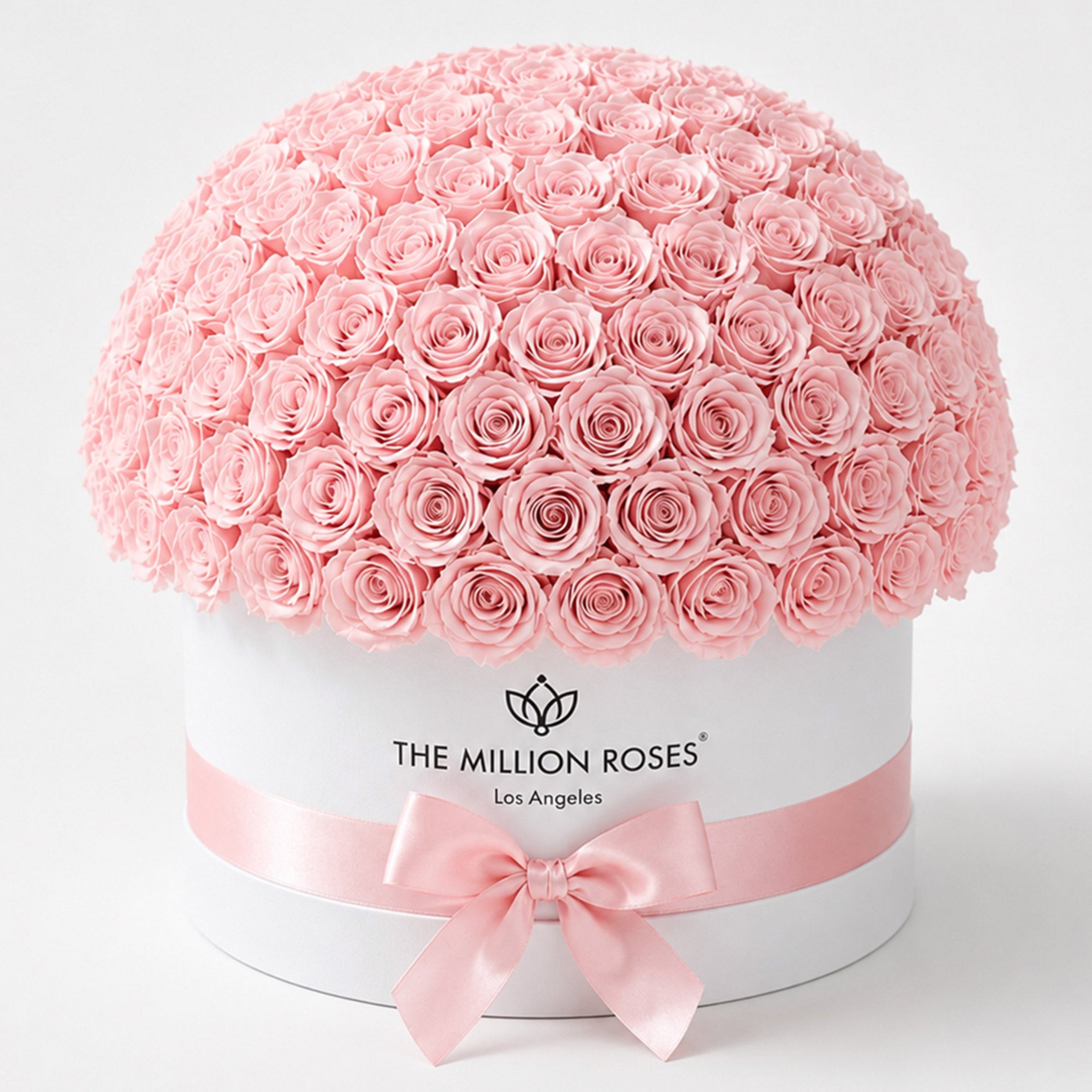 Deluxe White Dome Box | Light Pink Roses