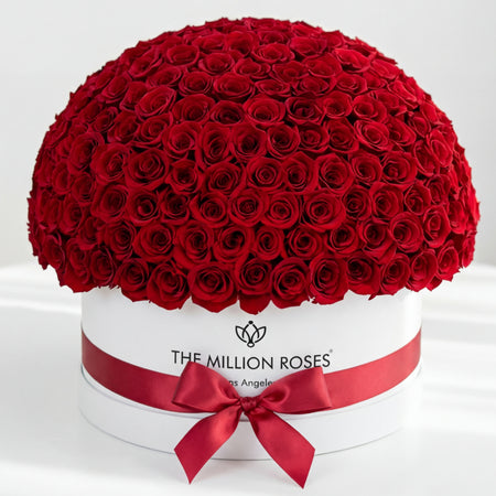 Deluxe White Superdome Box | Red Roses