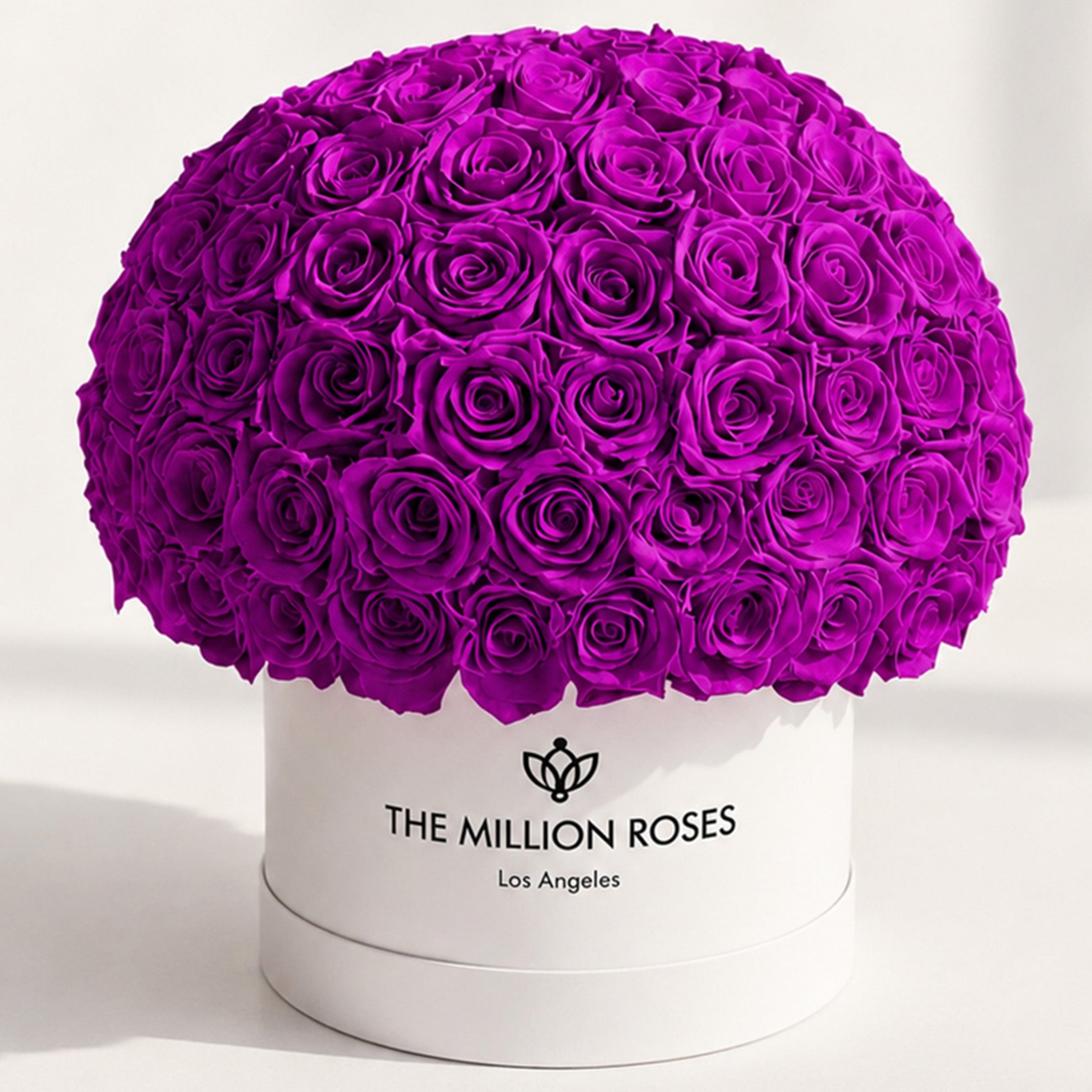 Supreme White Superdome Box | Bright Purple Roses