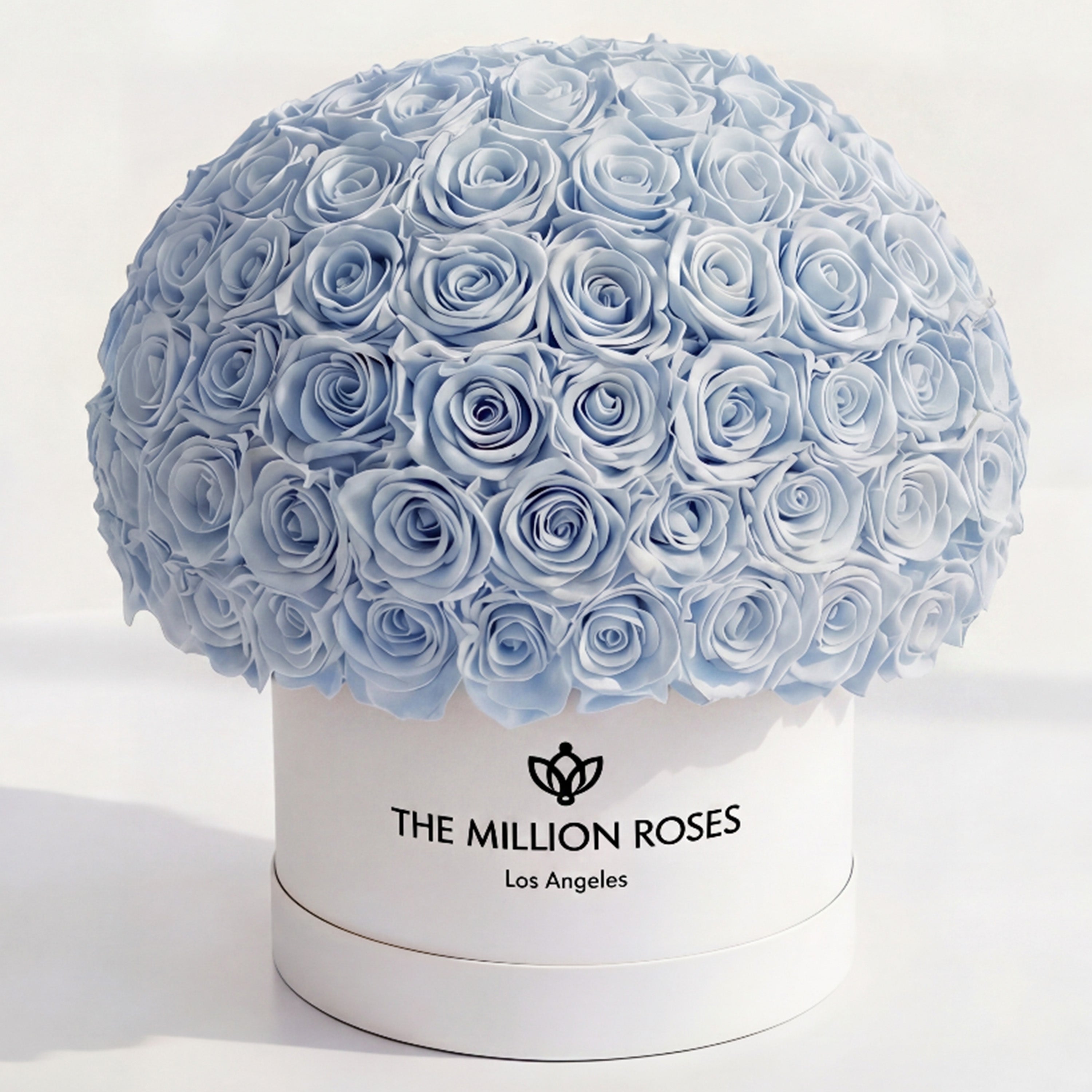 Supreme White Superdome Box | Light Blue Roses