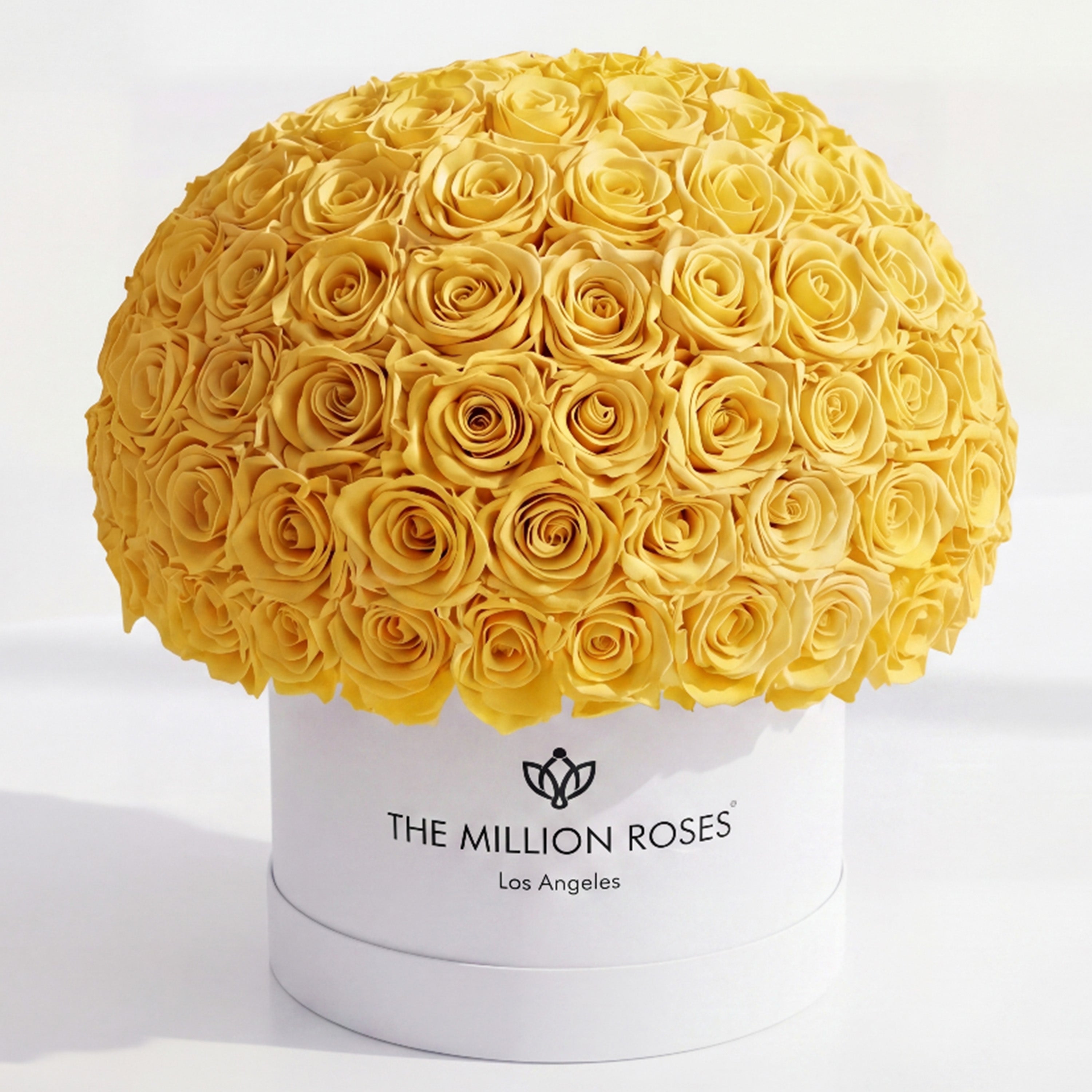 Supreme White Superdome Box | Yellow Roses