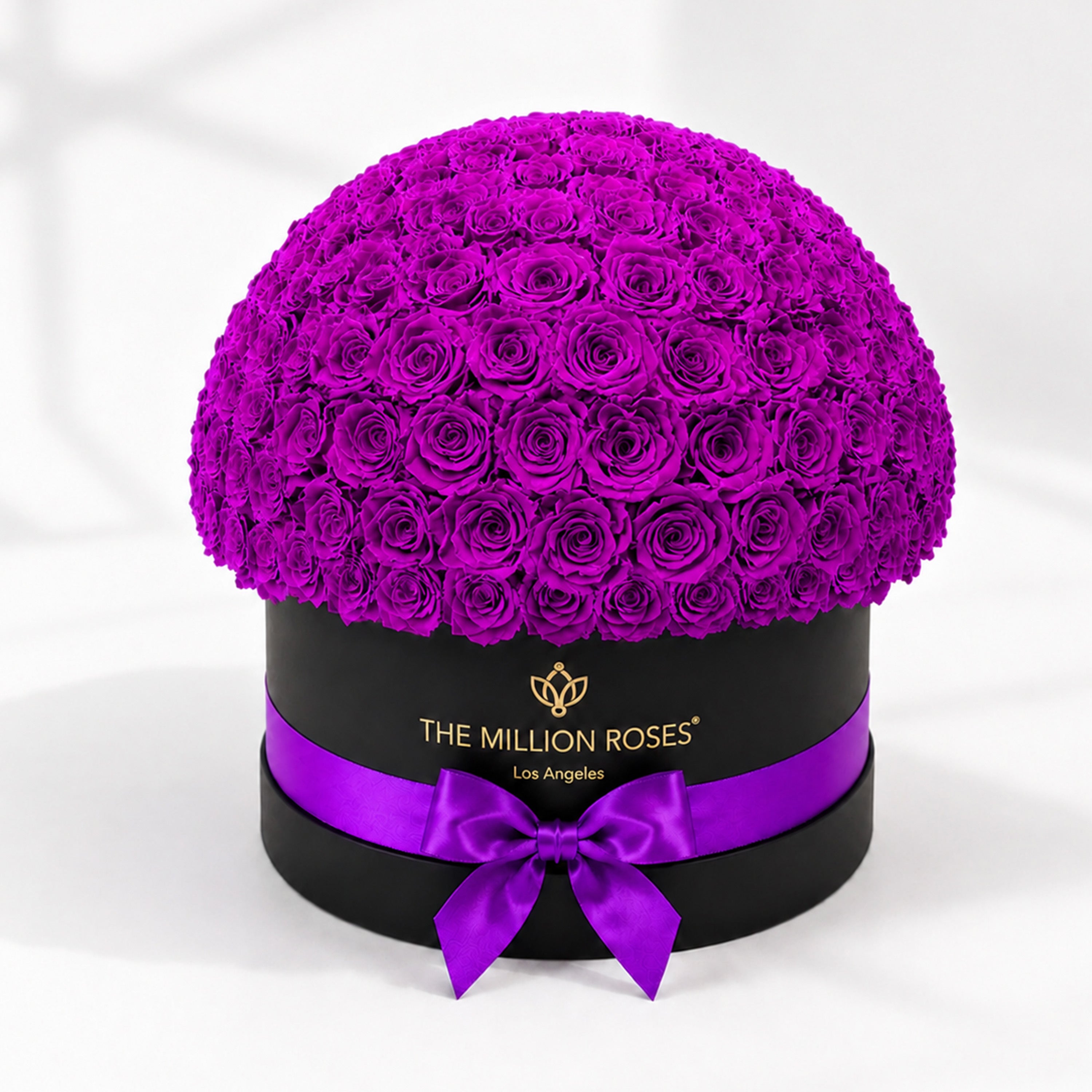 Deluxe Black Dome Box | Bright Purple Roses