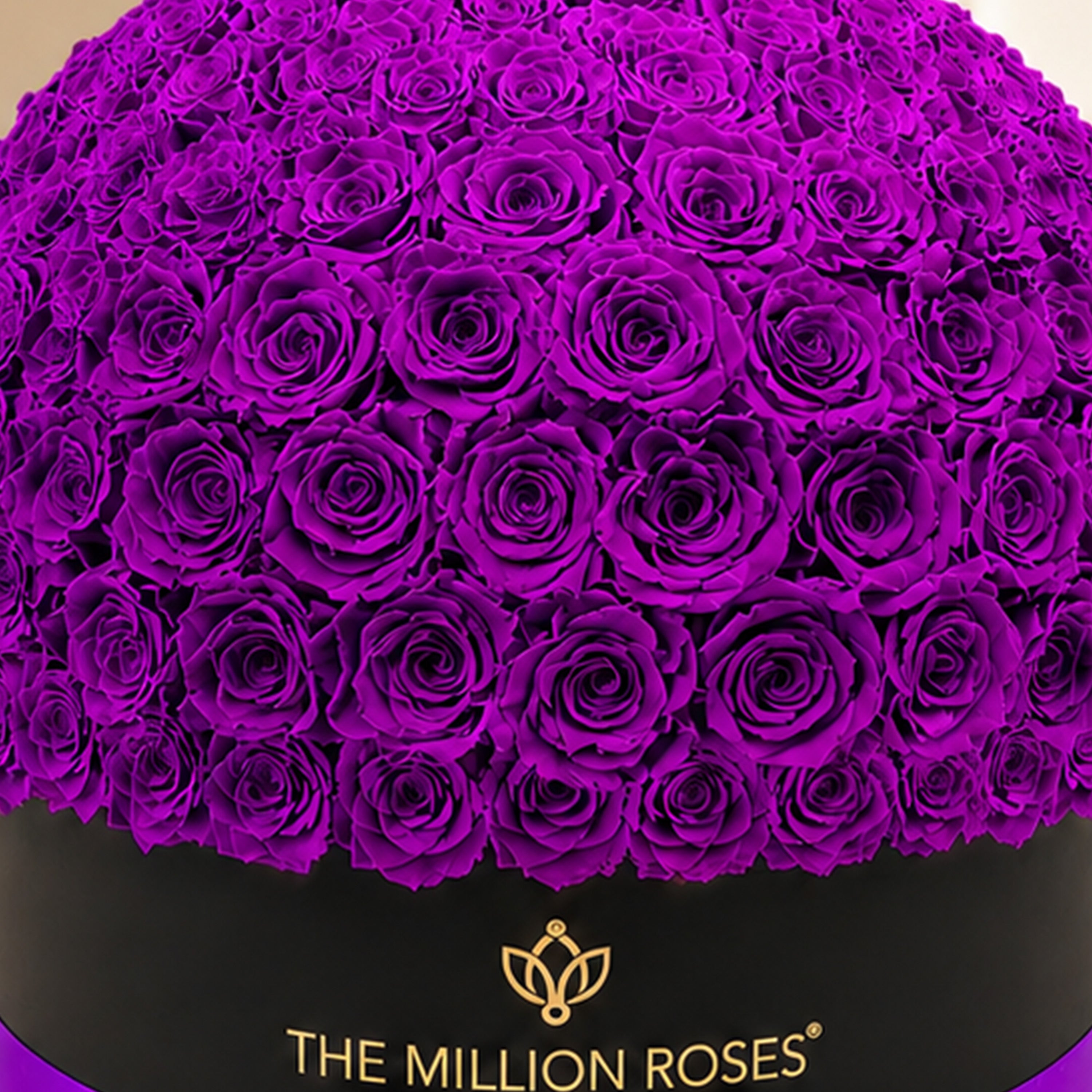 Deluxe Black Dome Box | Bright Purple Roses