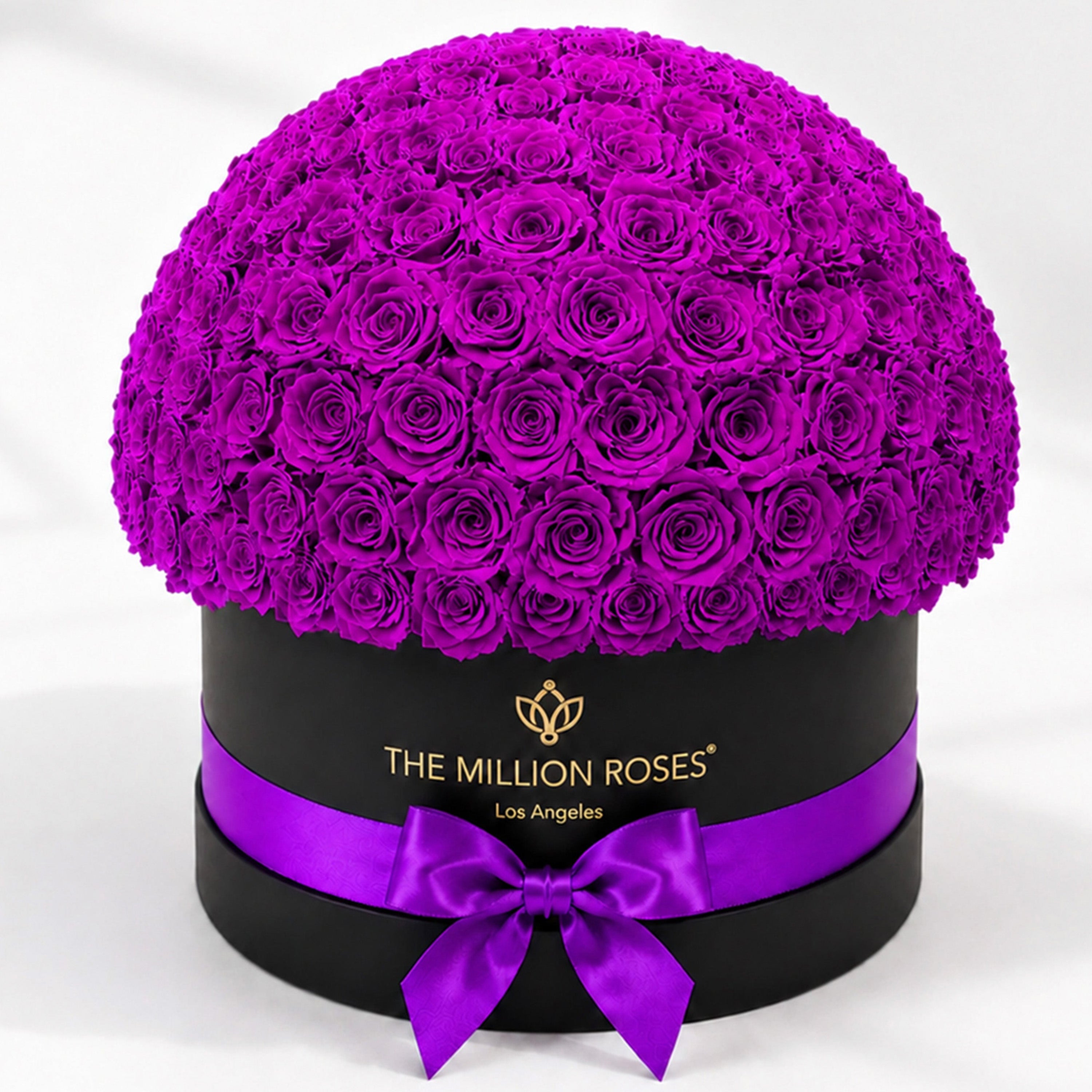 Deluxe Black Dome Box | Bright Purple Roses