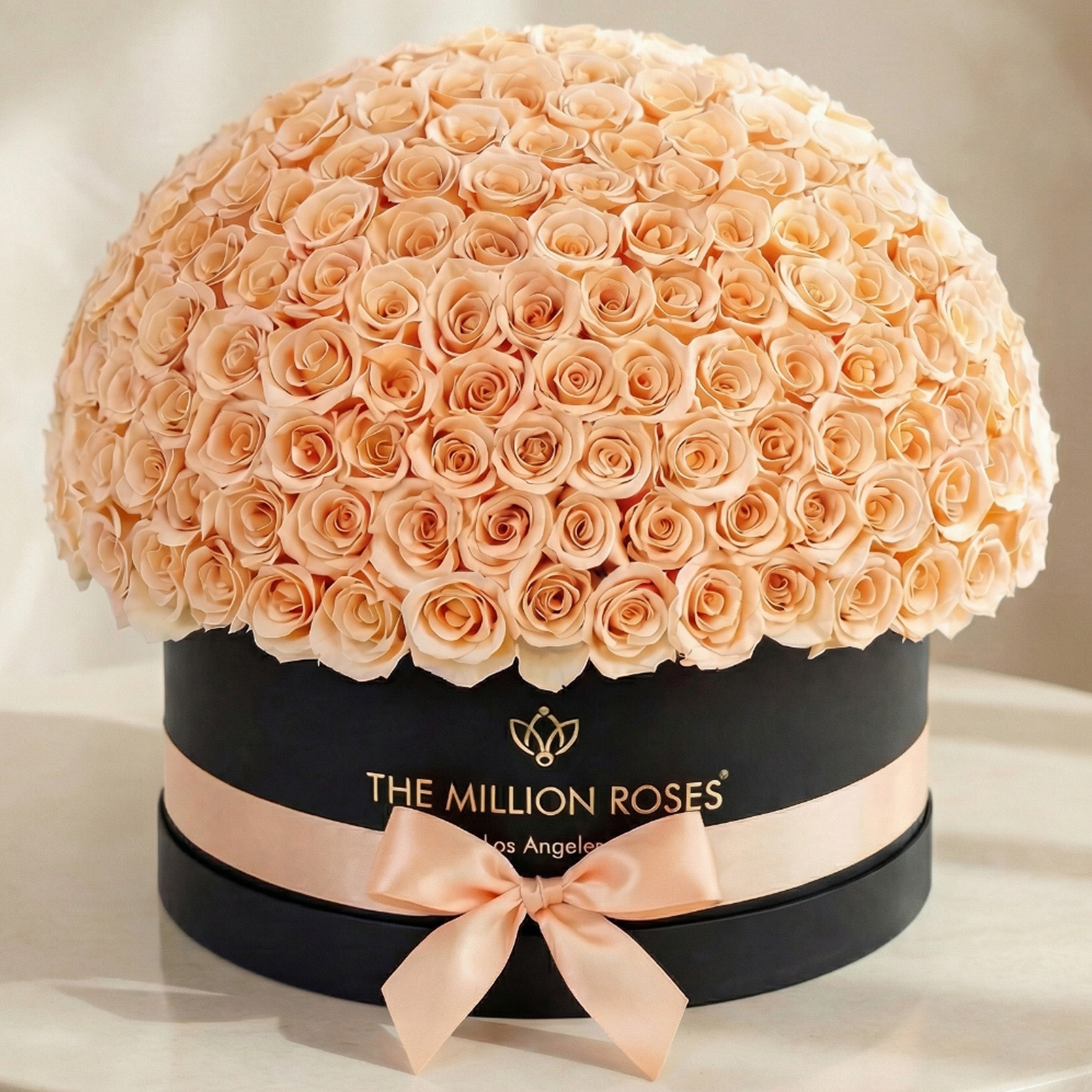 Deluxe Black Dome Box | Peach Roses