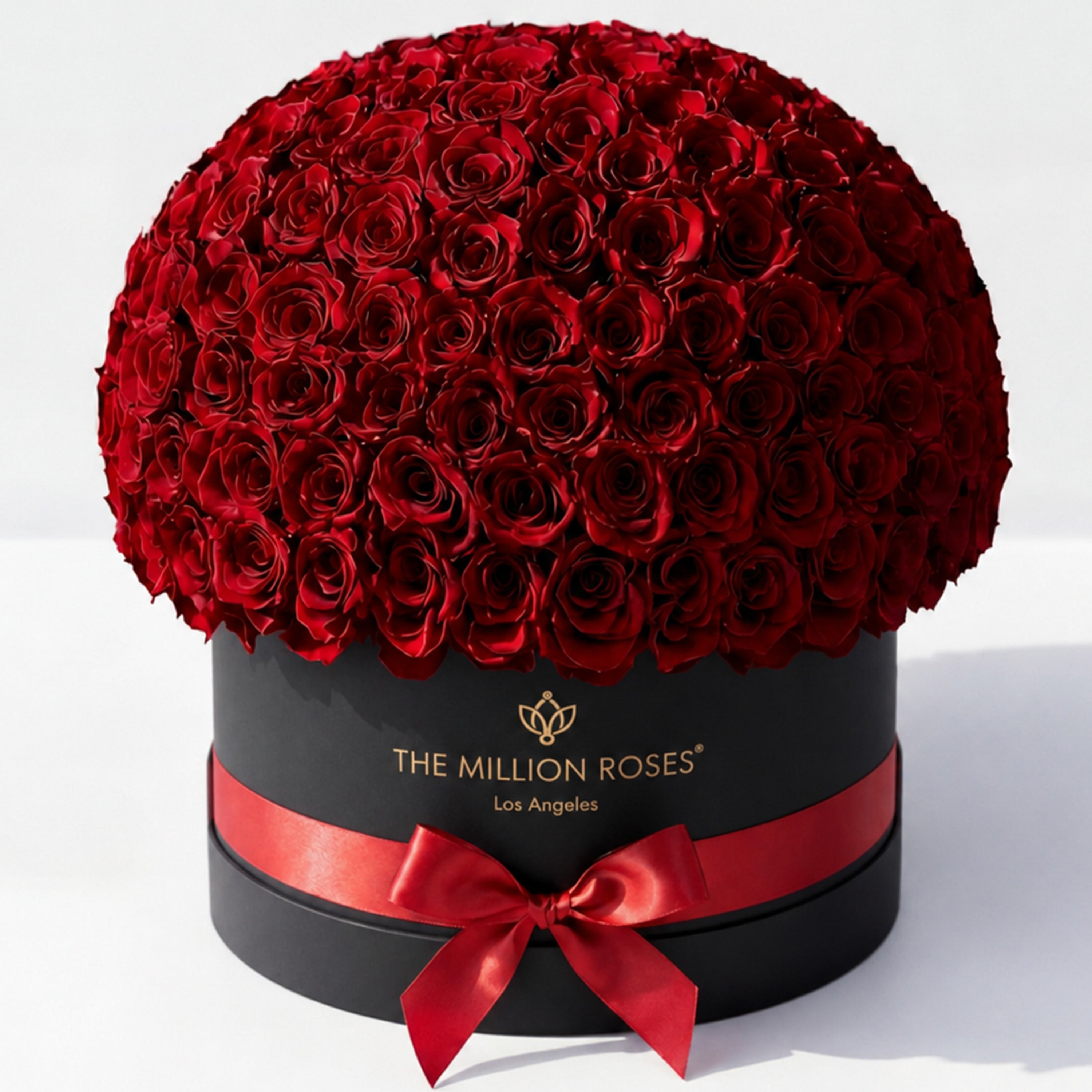 Deluxe Black Dome Box | Red Roses