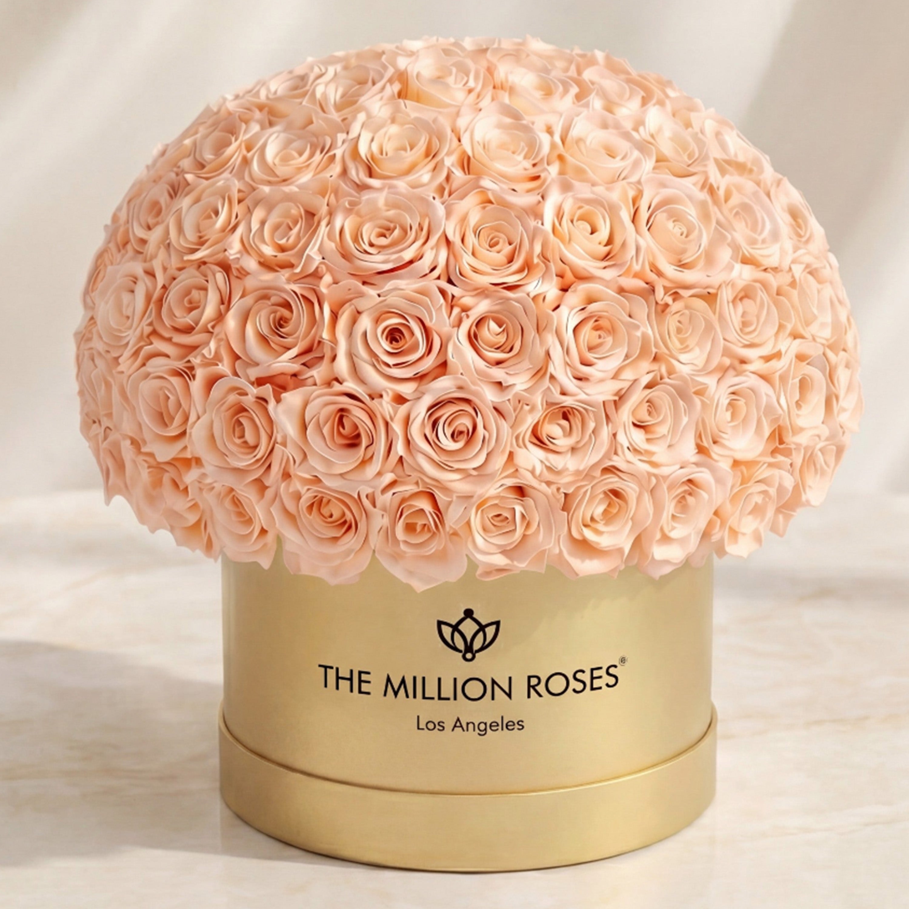 Supreme Gold Superdome Box | Peach Roses