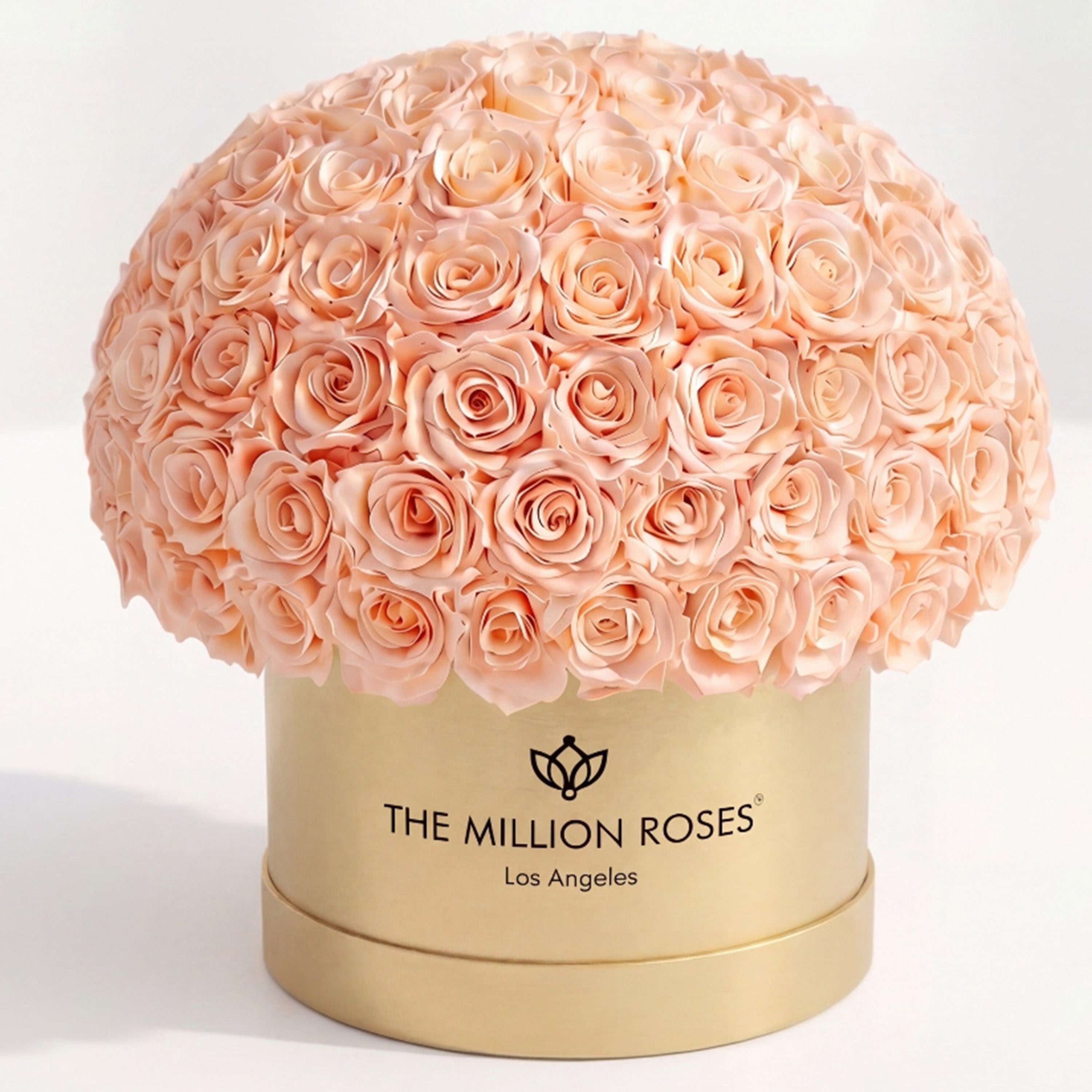 Supreme Gold Superdome Box | Peach Roses