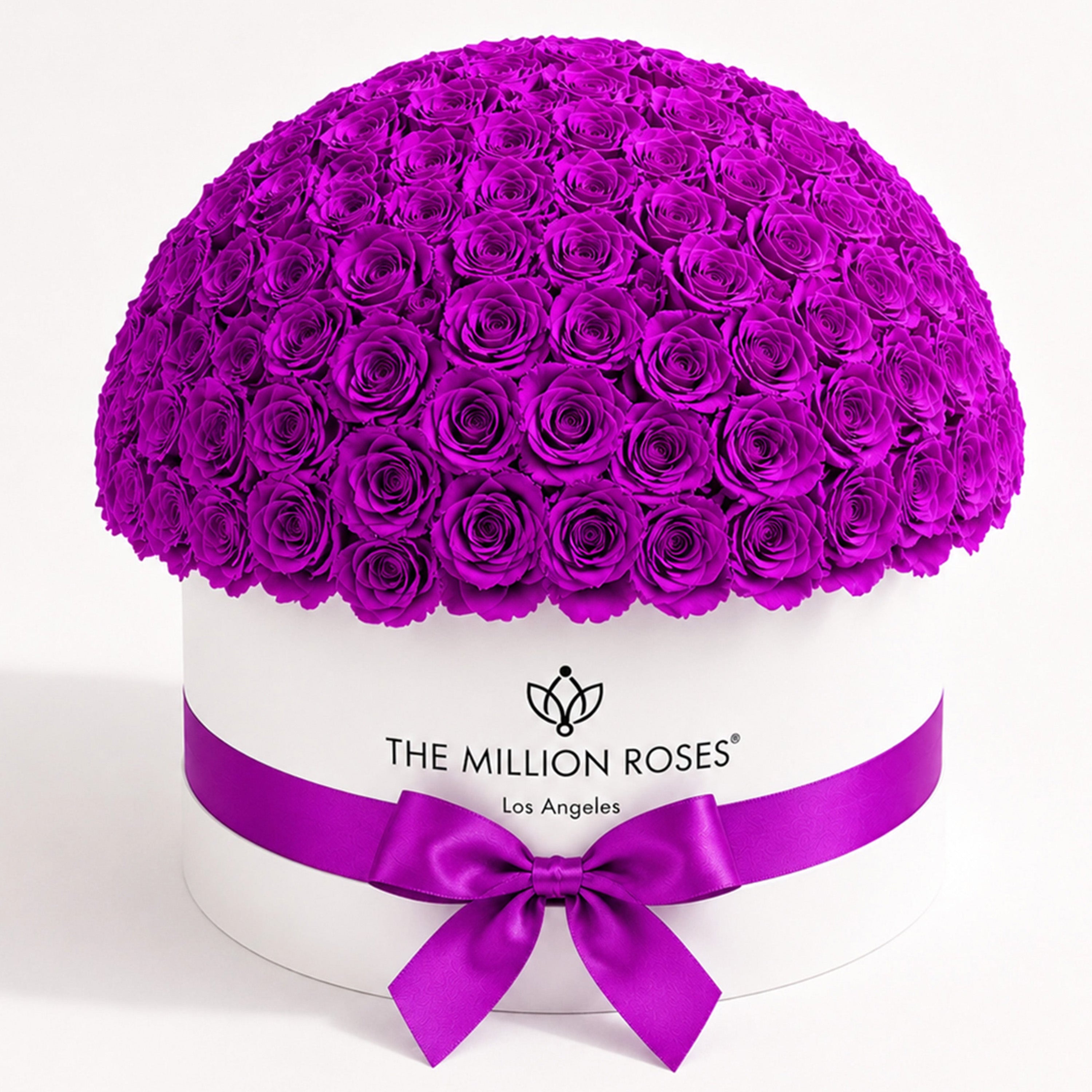 Deluxe White Dome Box | Bright Purple Roses