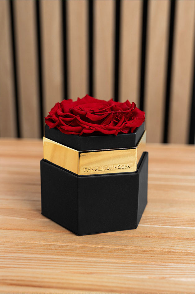 The Million Roses - Luxury Preserved Roses That Last Forever