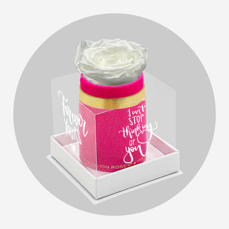 Single Hot Pink Suede Box | Limited Love Note Edition | White Rose