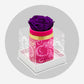 Single Hot Pink Suede Box | Limited Mother's Love Edition | Bright Purple Rose