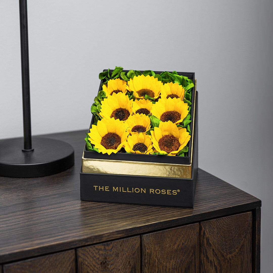 Square Black Box | Sunflowers