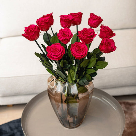 Langstielrosen | Leuchtrosa Rosen