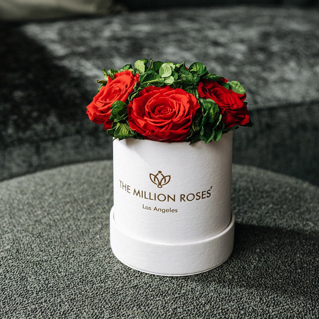 Basic Beige Suede Garden Box | Red Roses