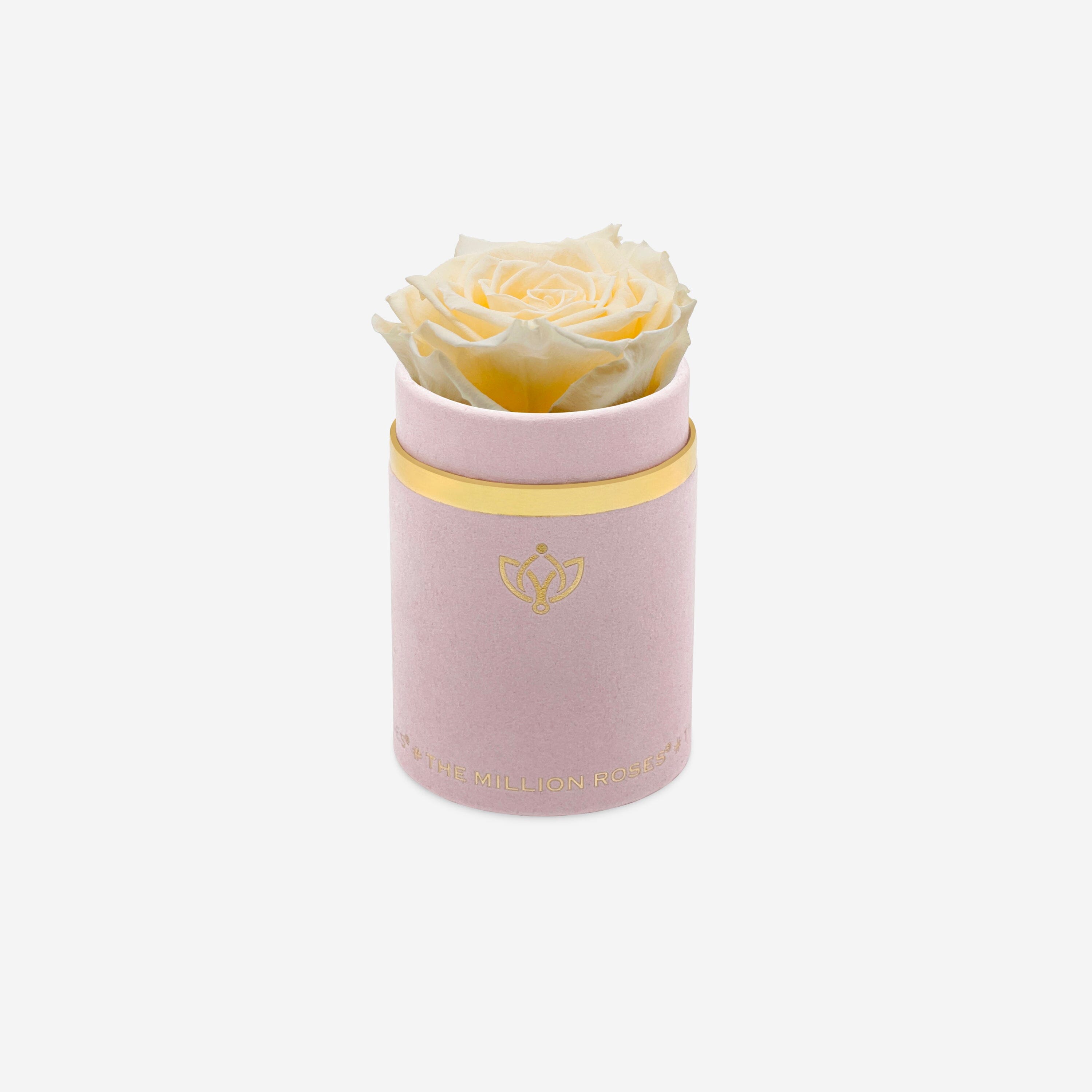 Single Light Pink Suede Box | Ivory Rose - The Million Roses