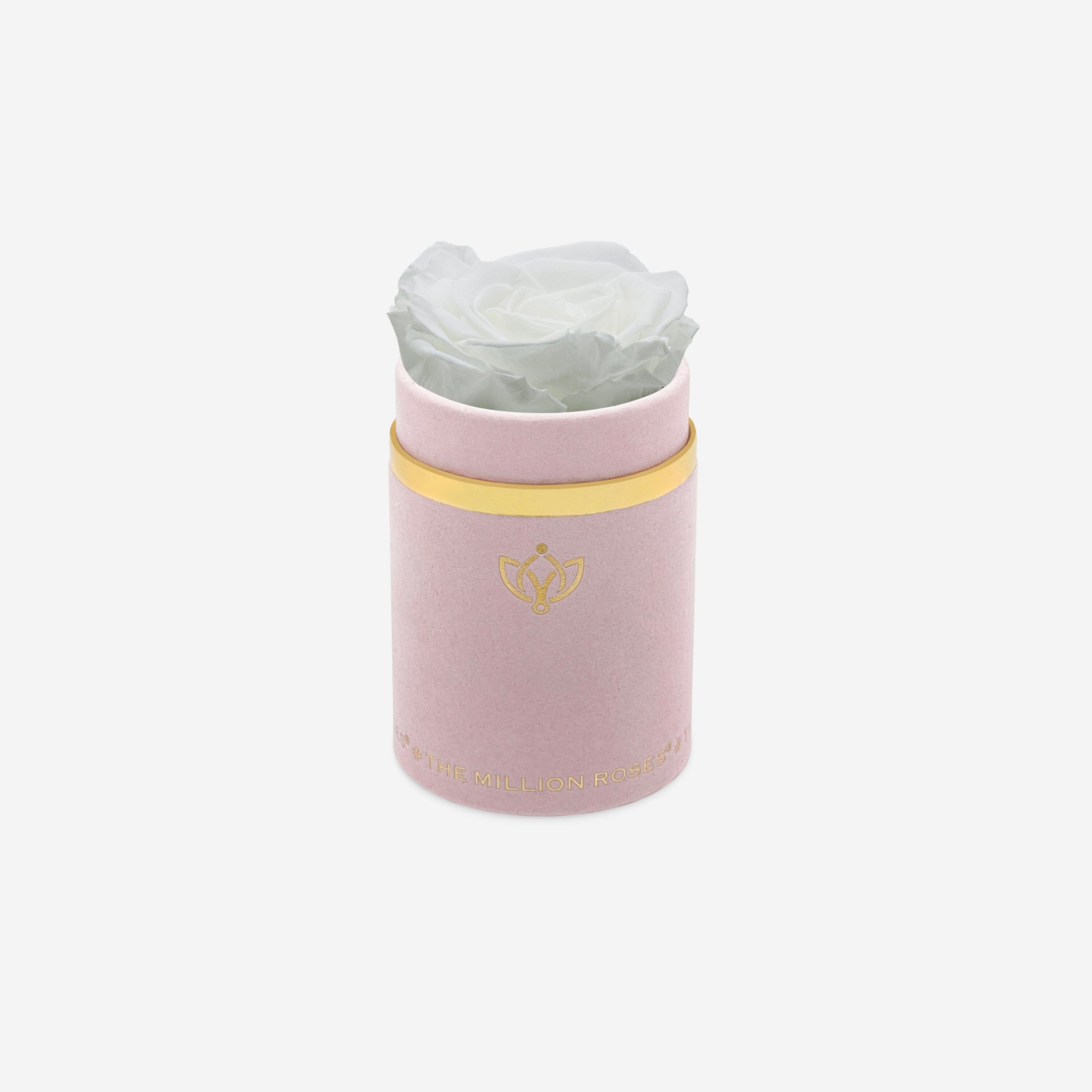 Single Light Pink Suede Box | White Rose - The Million Roses