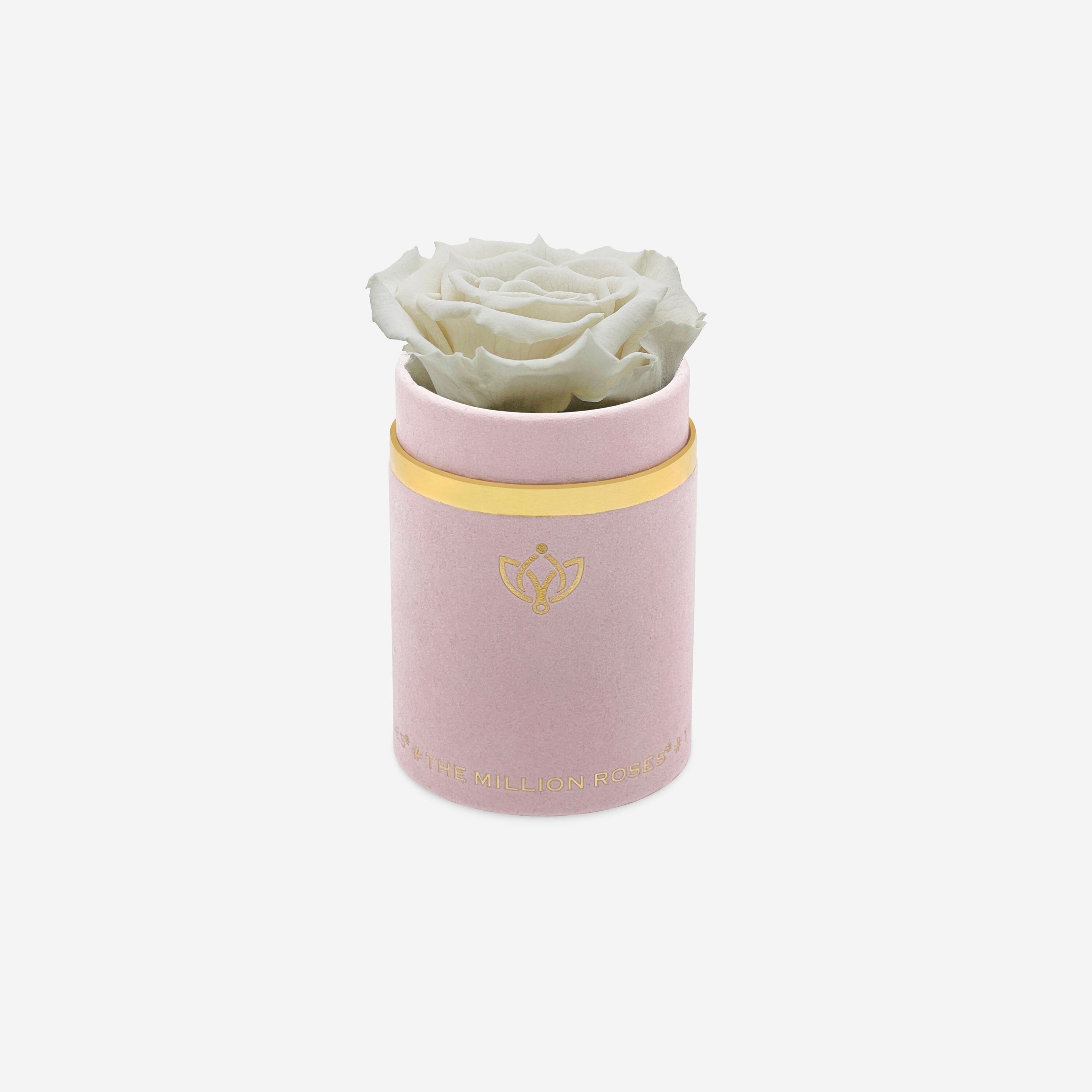 Single Light Pink Suede Box | Off White Rose - The Million Roses