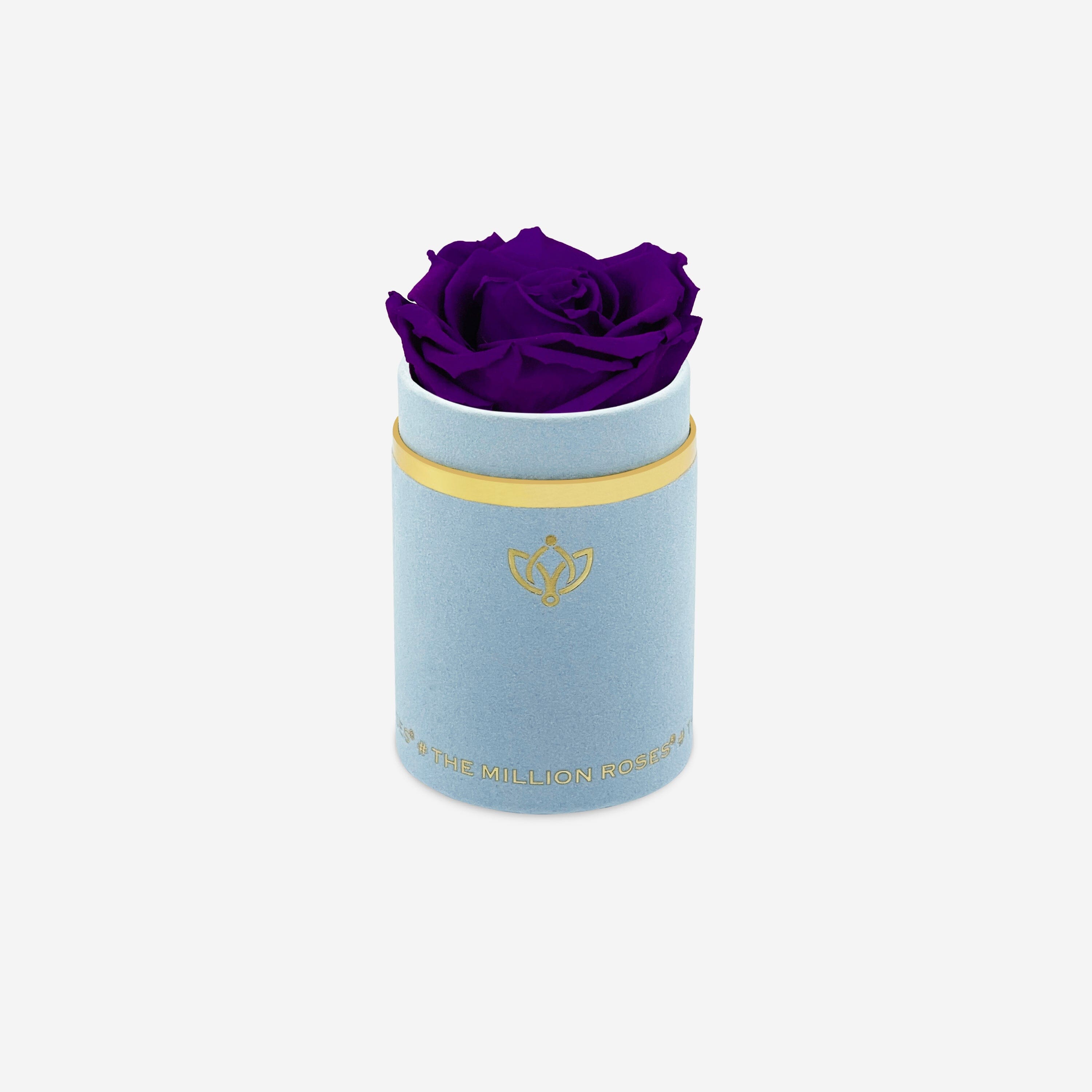 Single Light Blue Suede Box | Bright Purple Rose - The Million Roses
