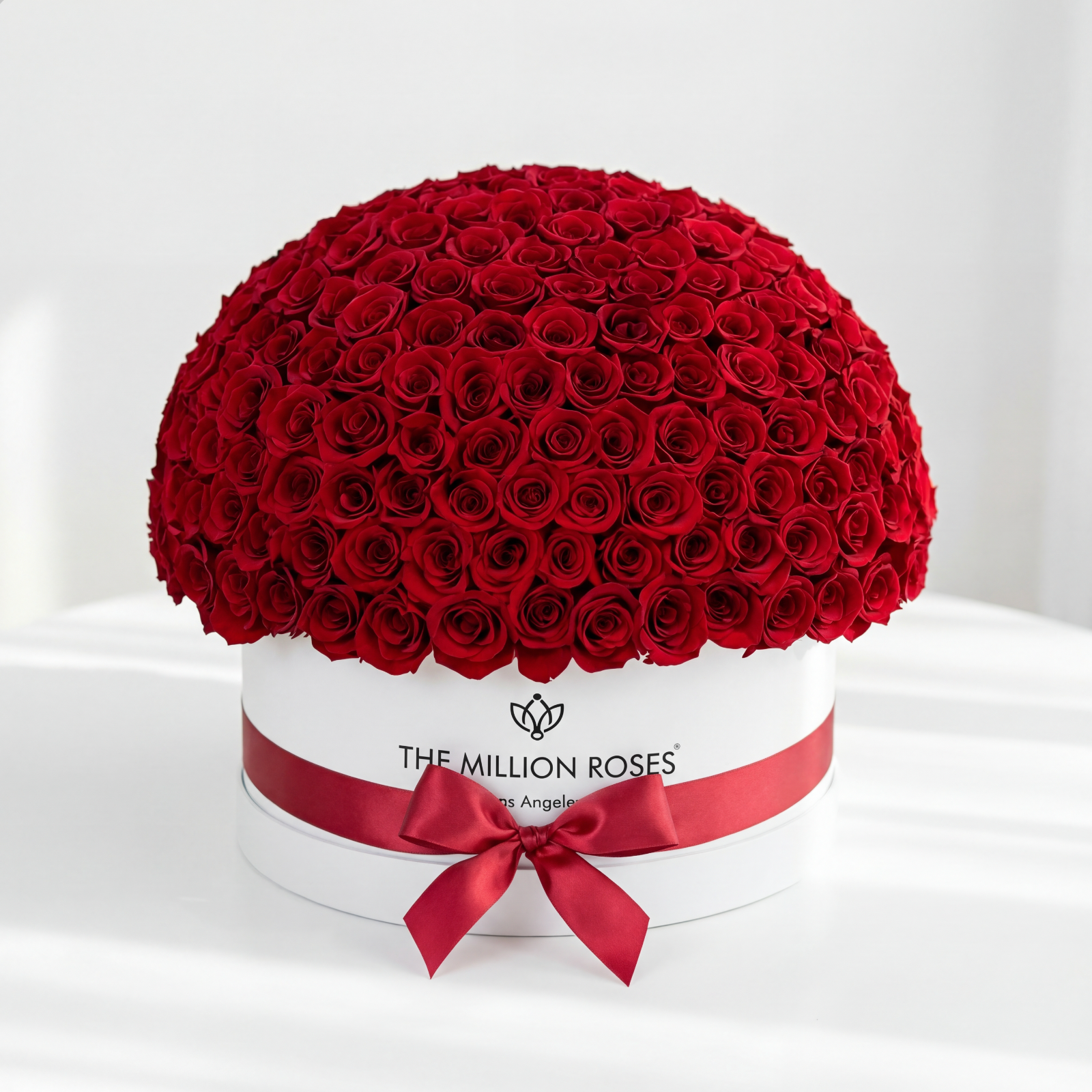 Boîte dôme blanc de luxe | Roses rouges
