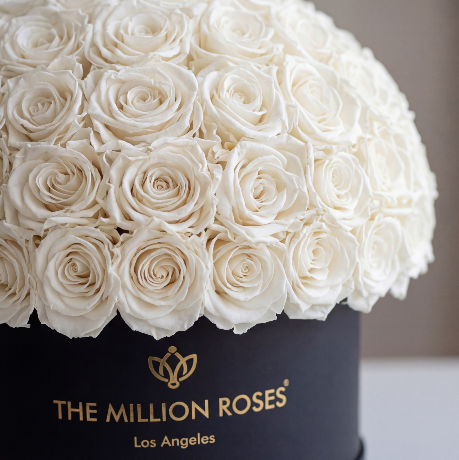 Supreme Black Superdome Box | White Roses